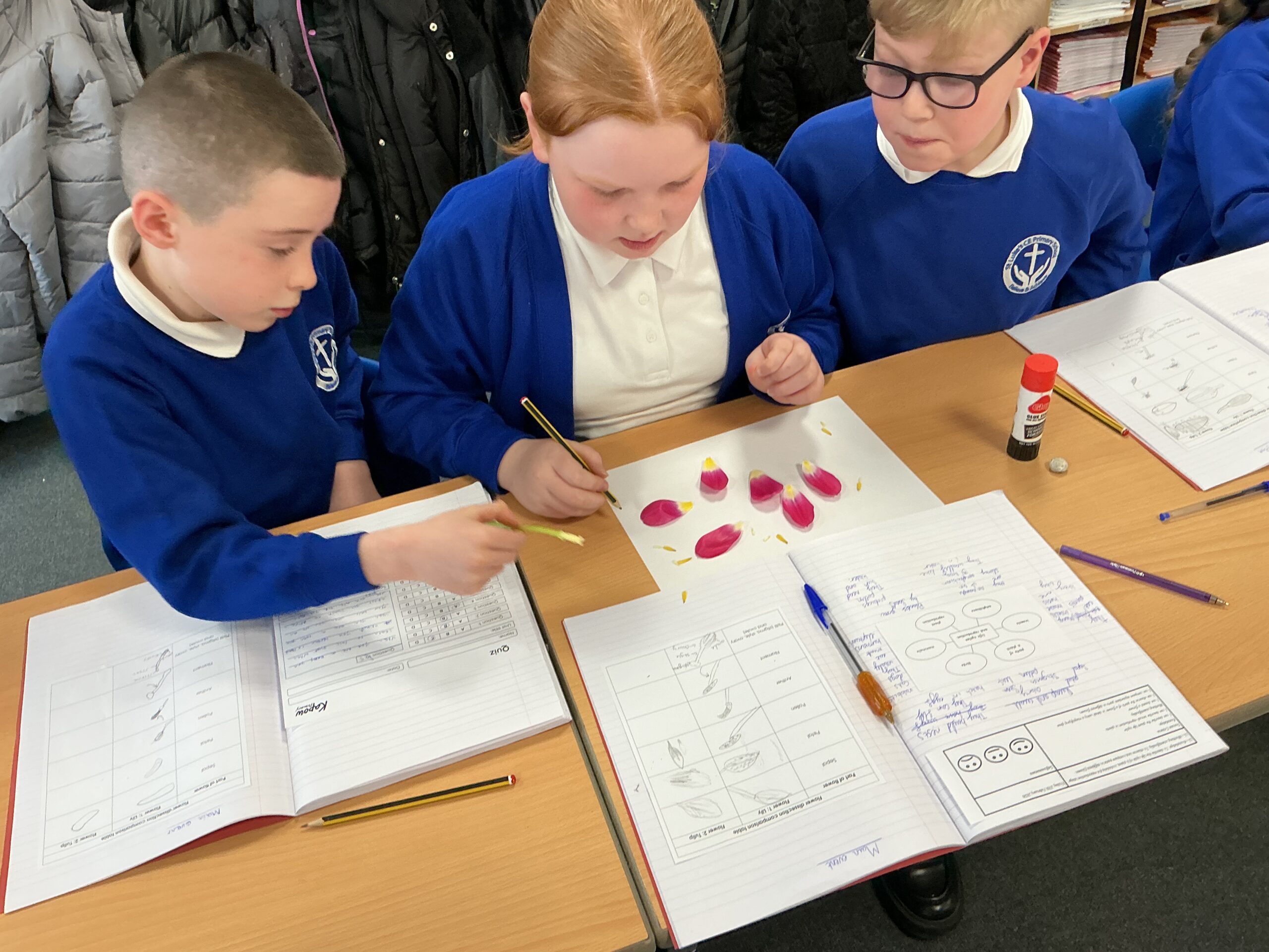 St Luke's Blog Pages