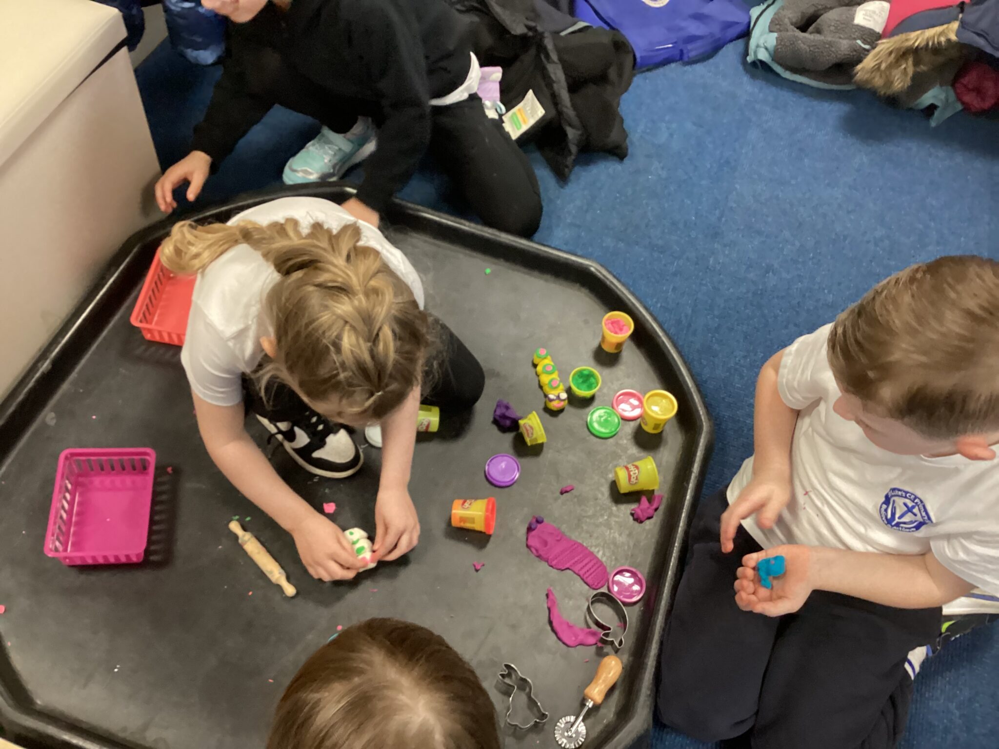 Classifying animals – St Luke's Blog Pages