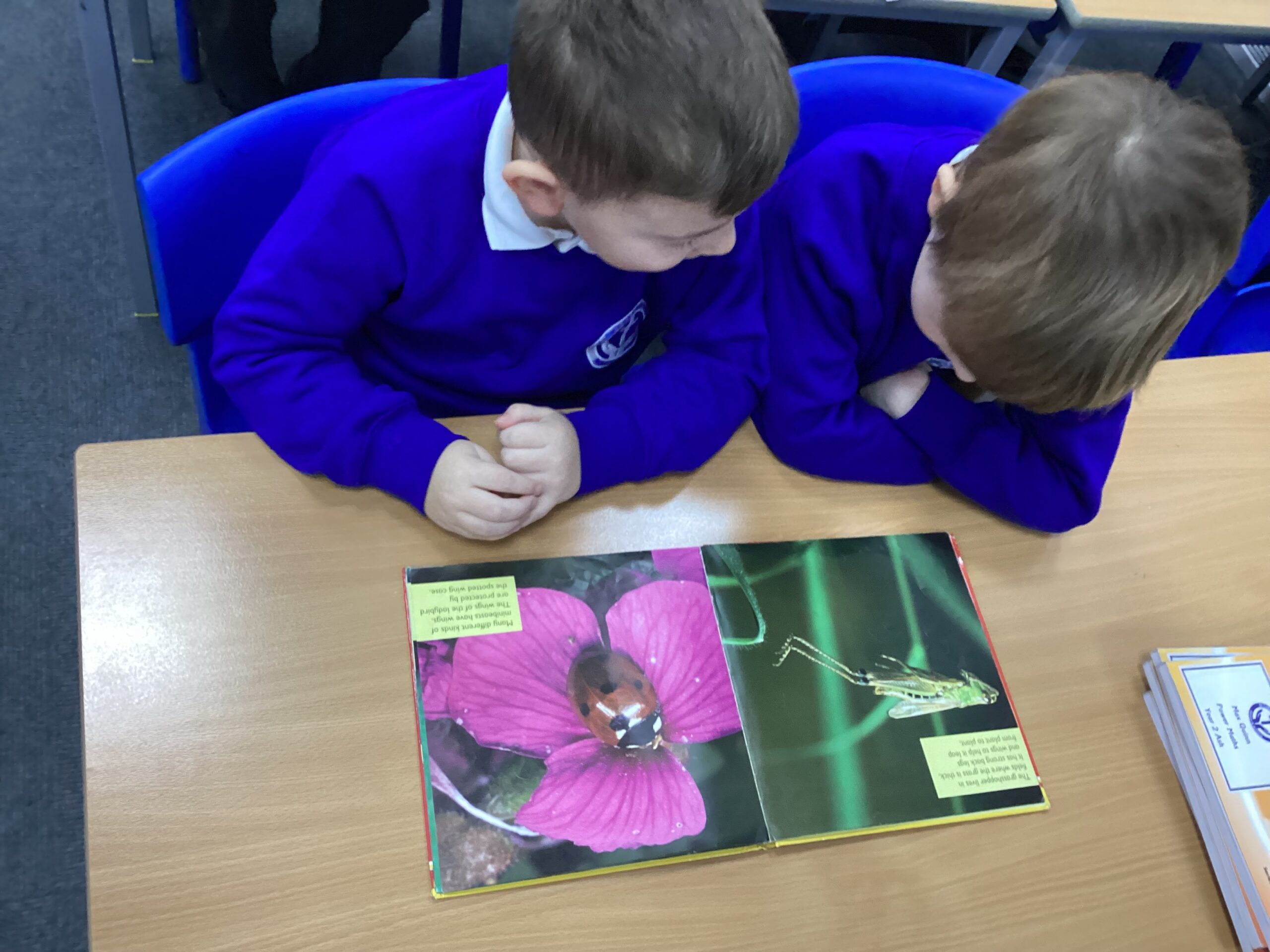 St Luke's Blog Pages