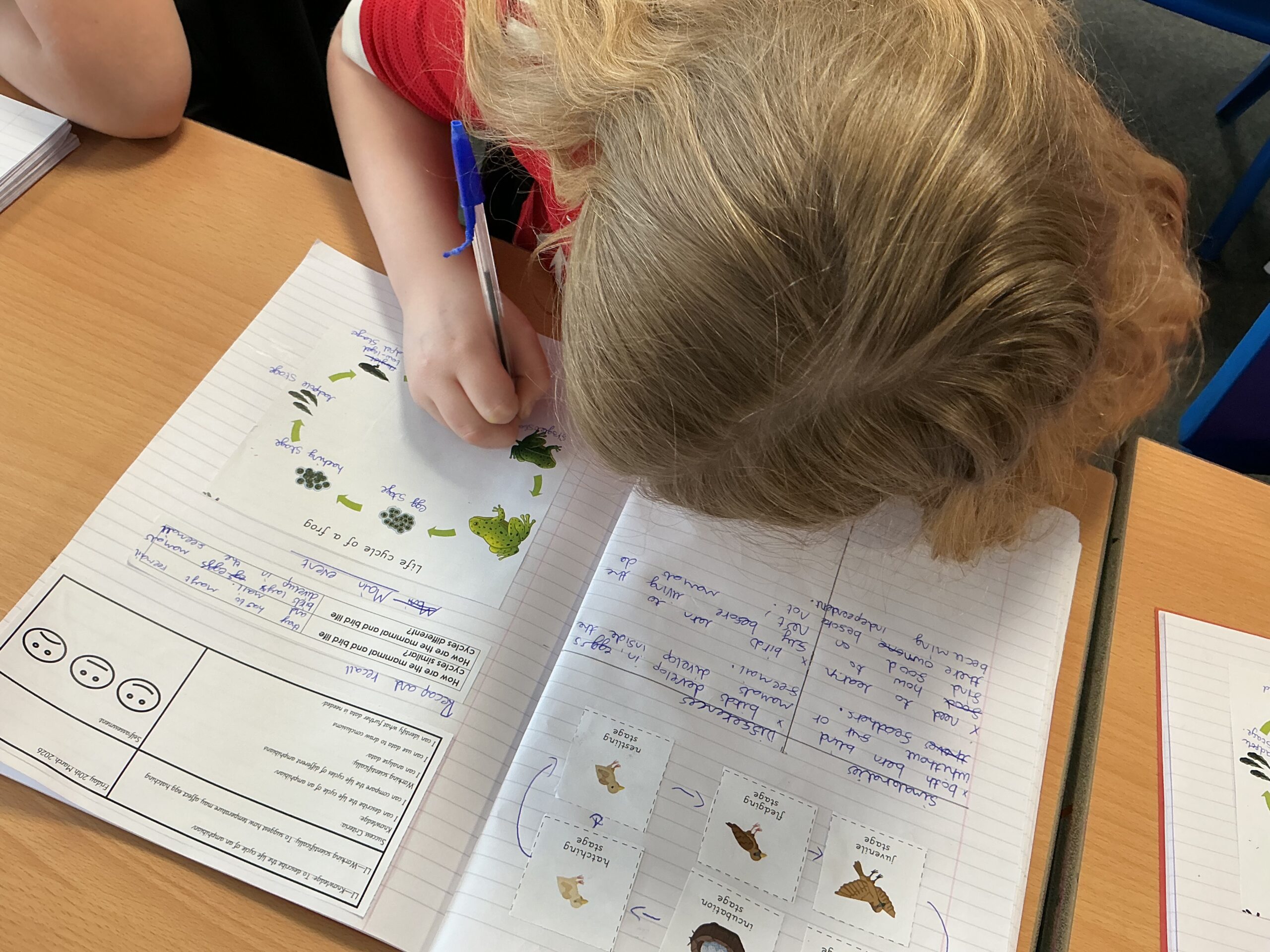 St Luke's Blog Pages