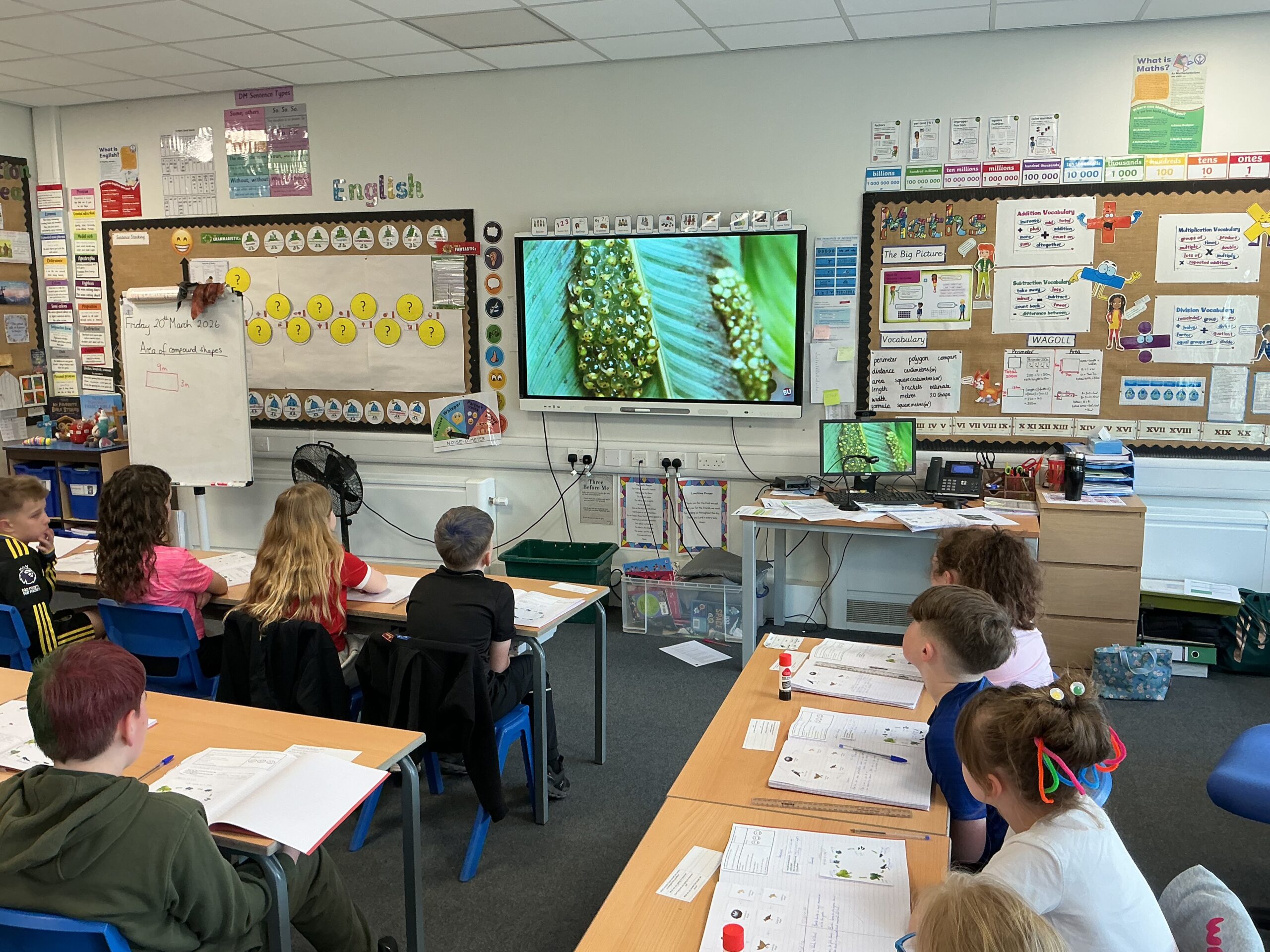 St Luke's Blog Pages