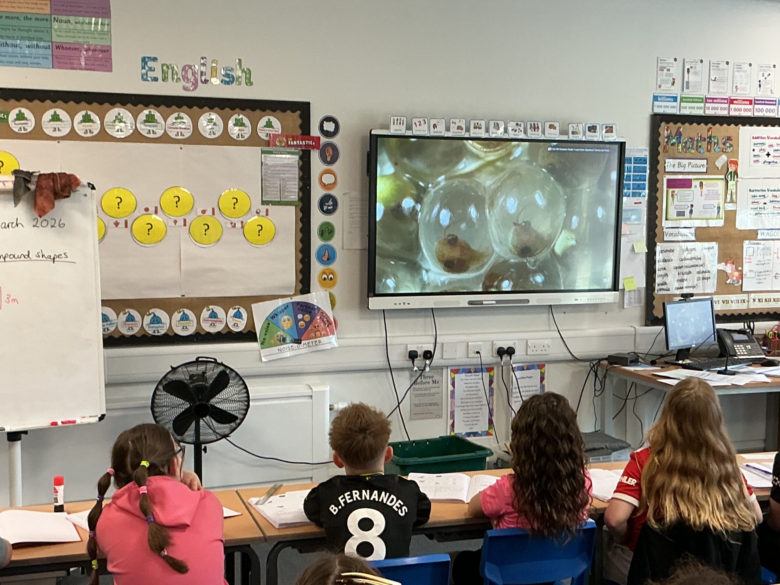 St Luke's Blog Pages