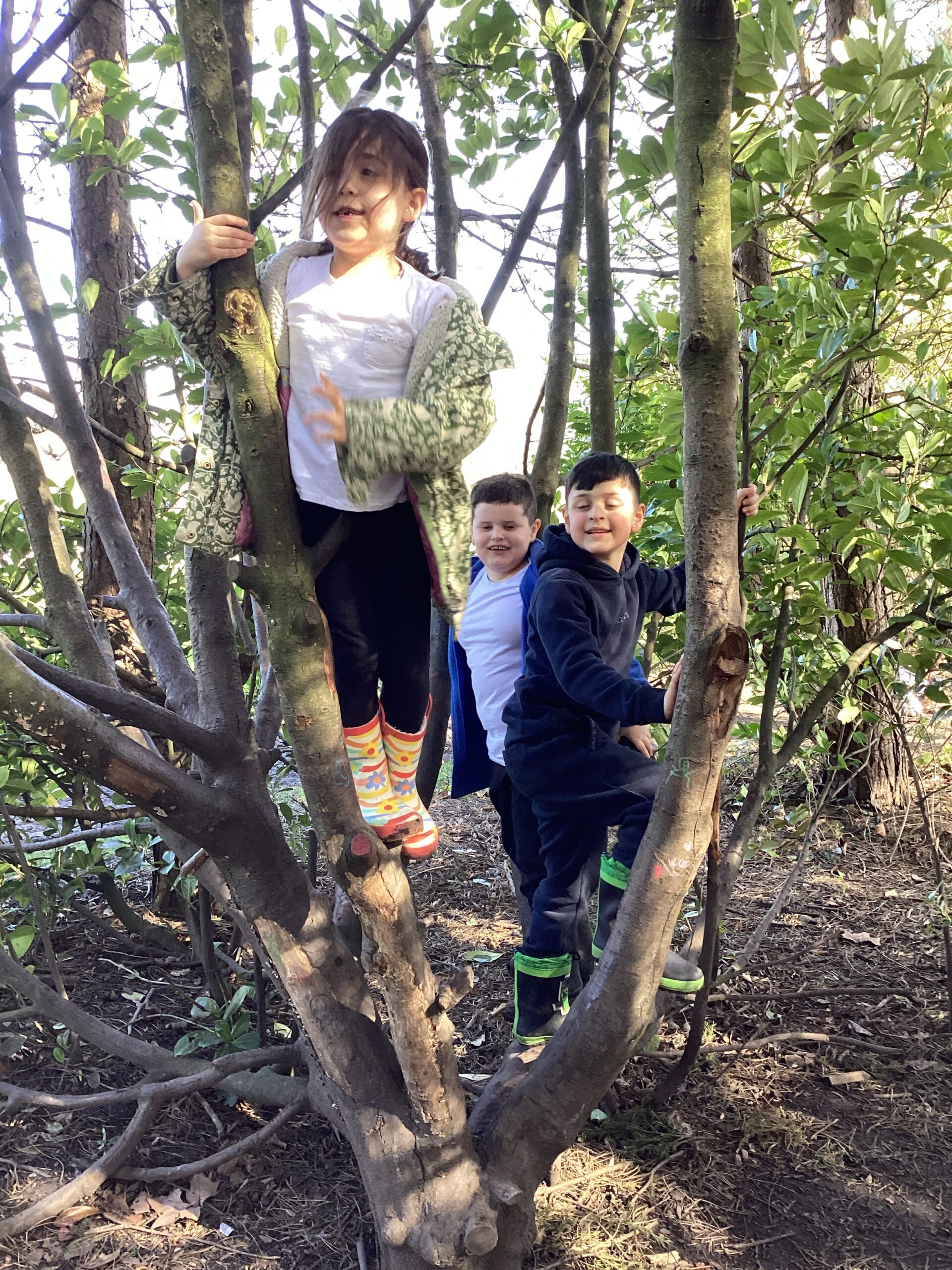 St Luke's Blog Pages