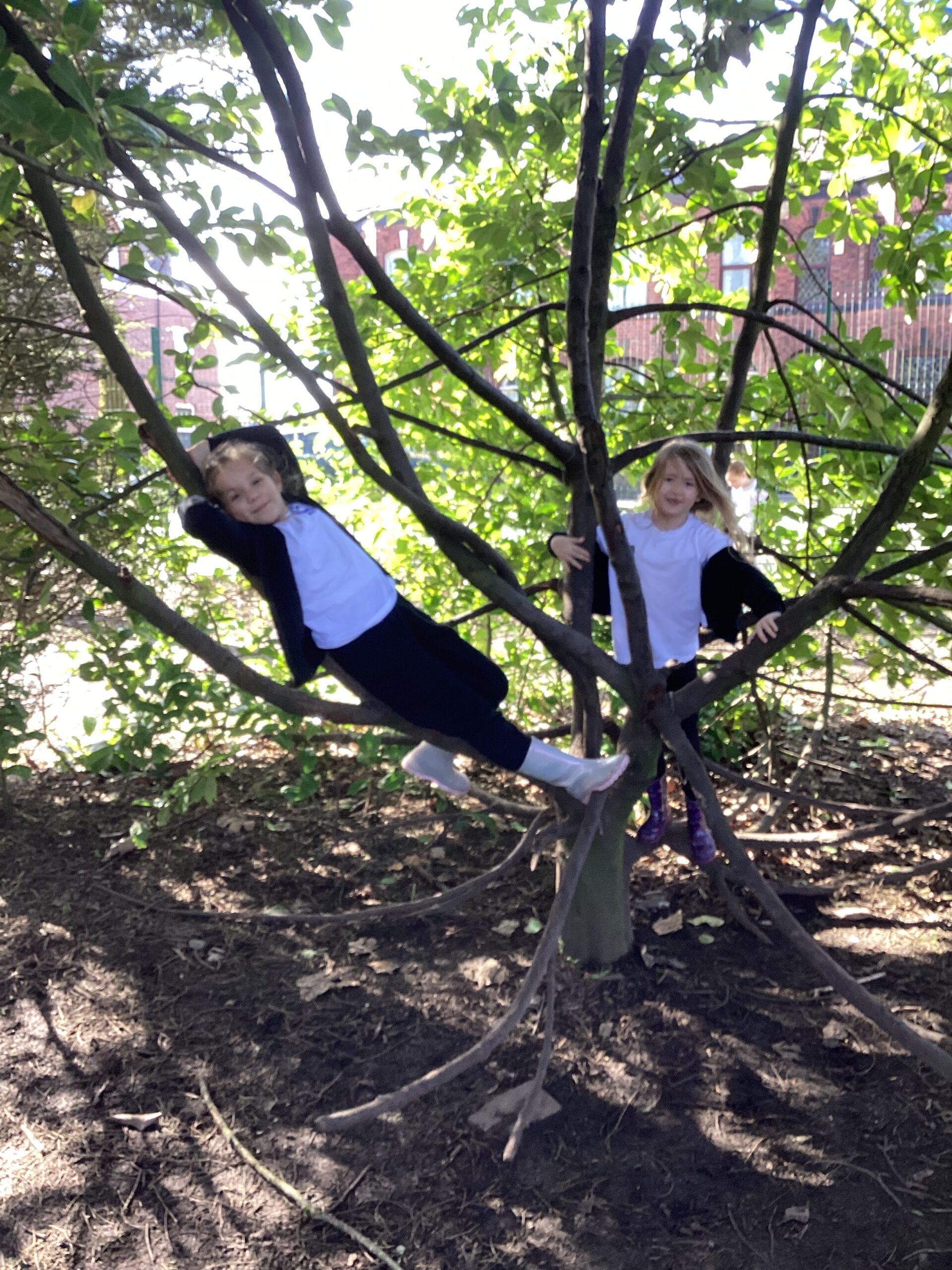 St Luke's Blog Pages