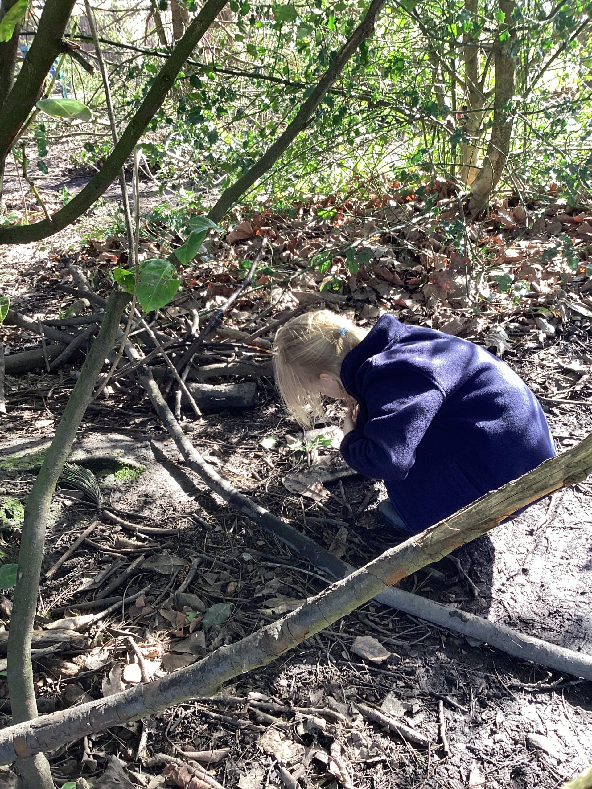 St Luke's Blog Pages