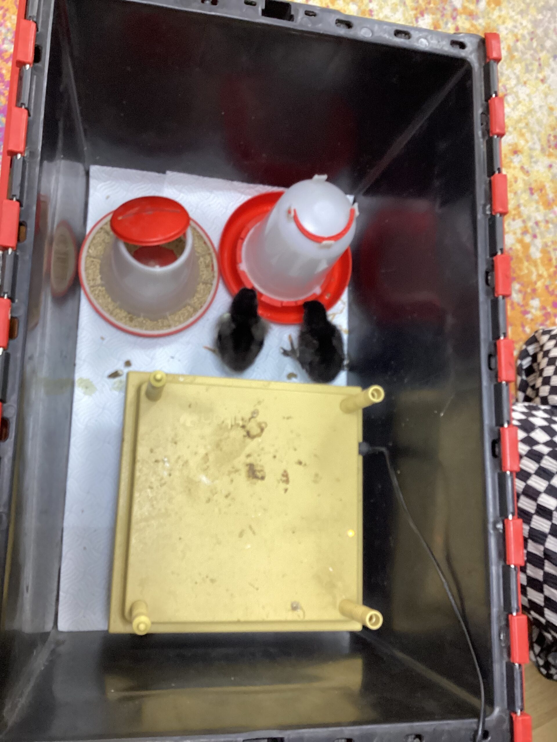 St Luke's Blog Pages