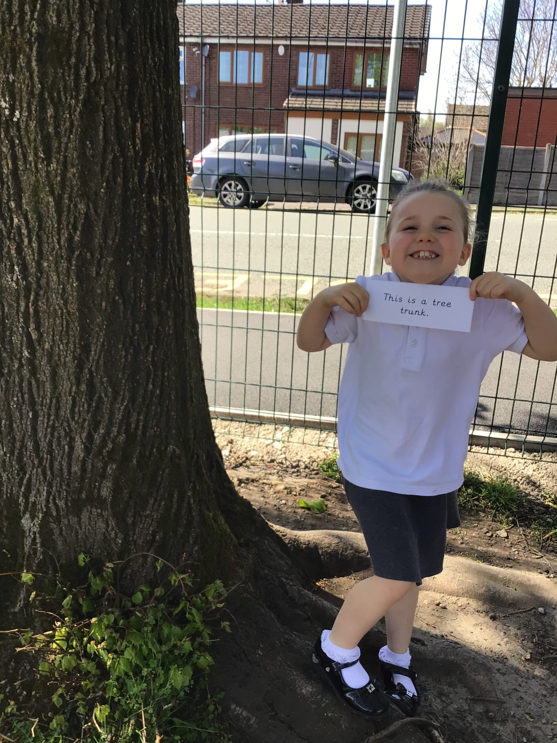 St Luke's Blog Pages