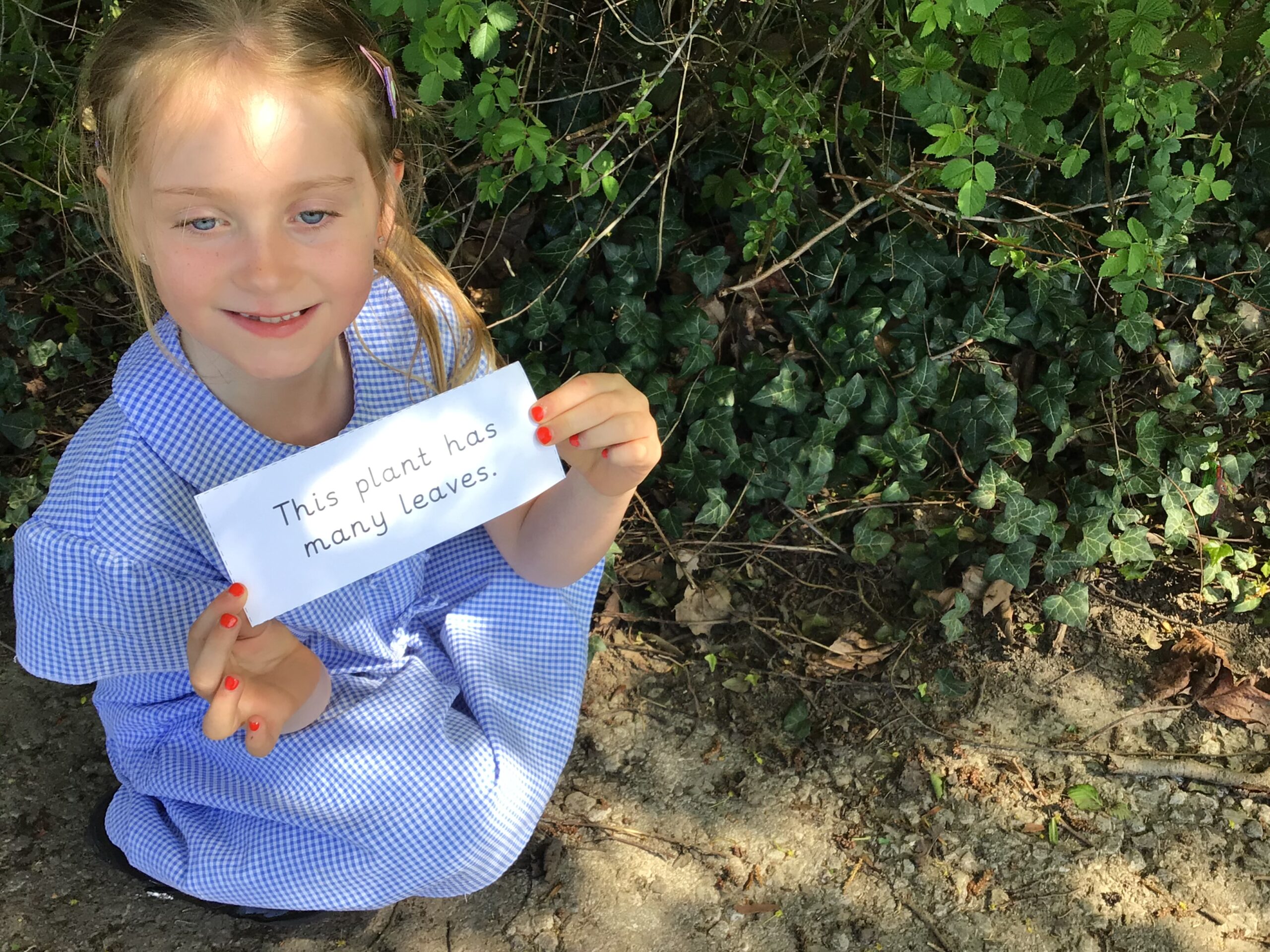 St Luke's Blog Pages