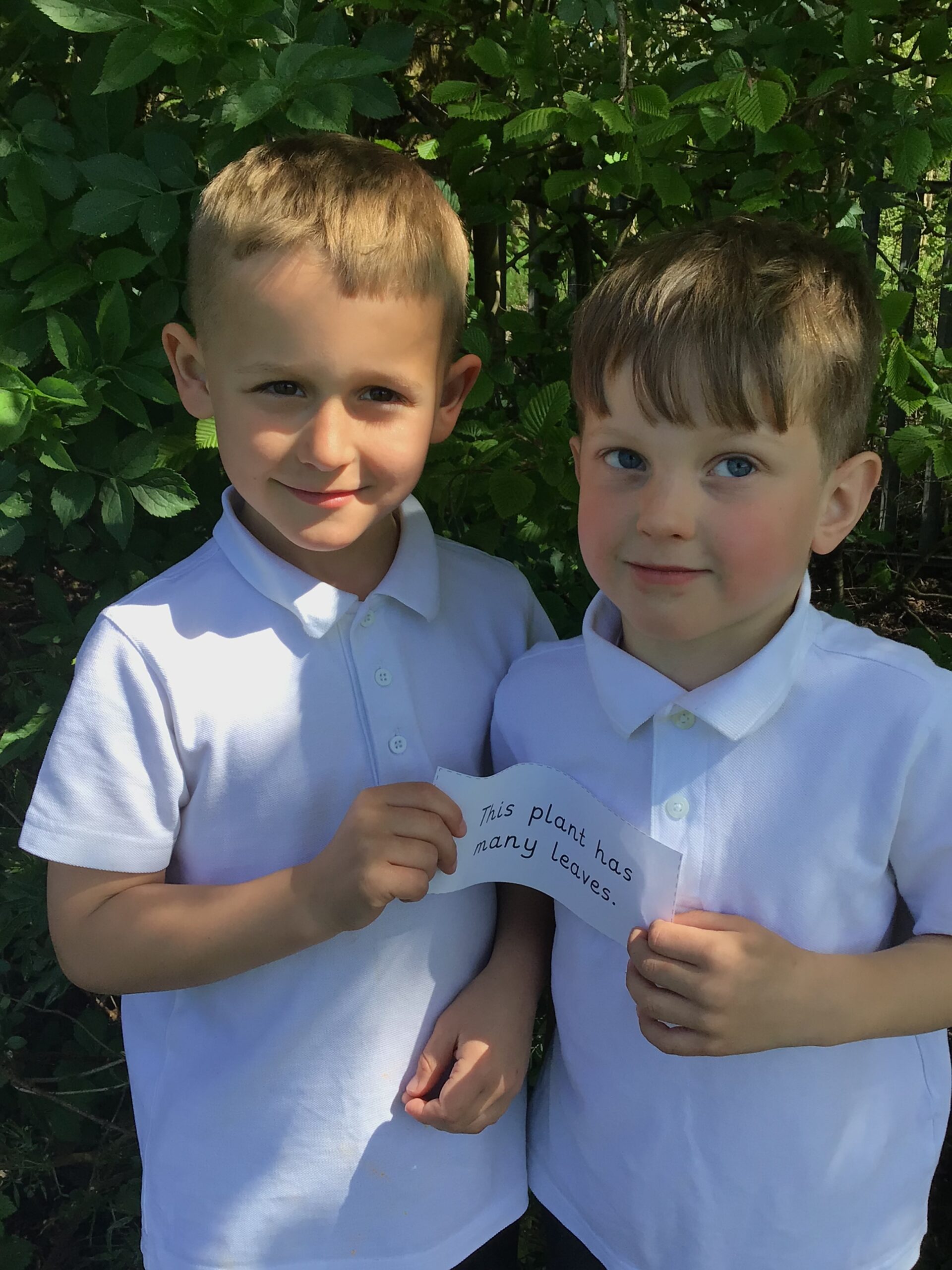 St Luke's Blog Pages