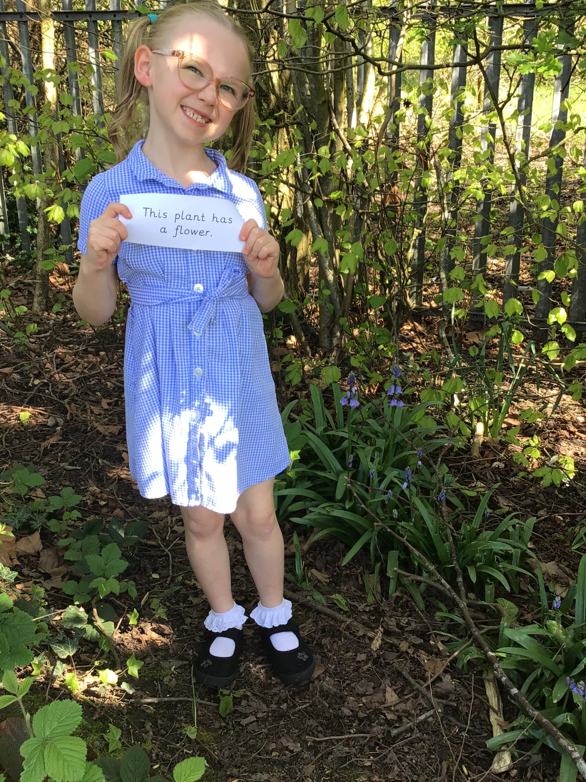 St Luke's Blog Pages