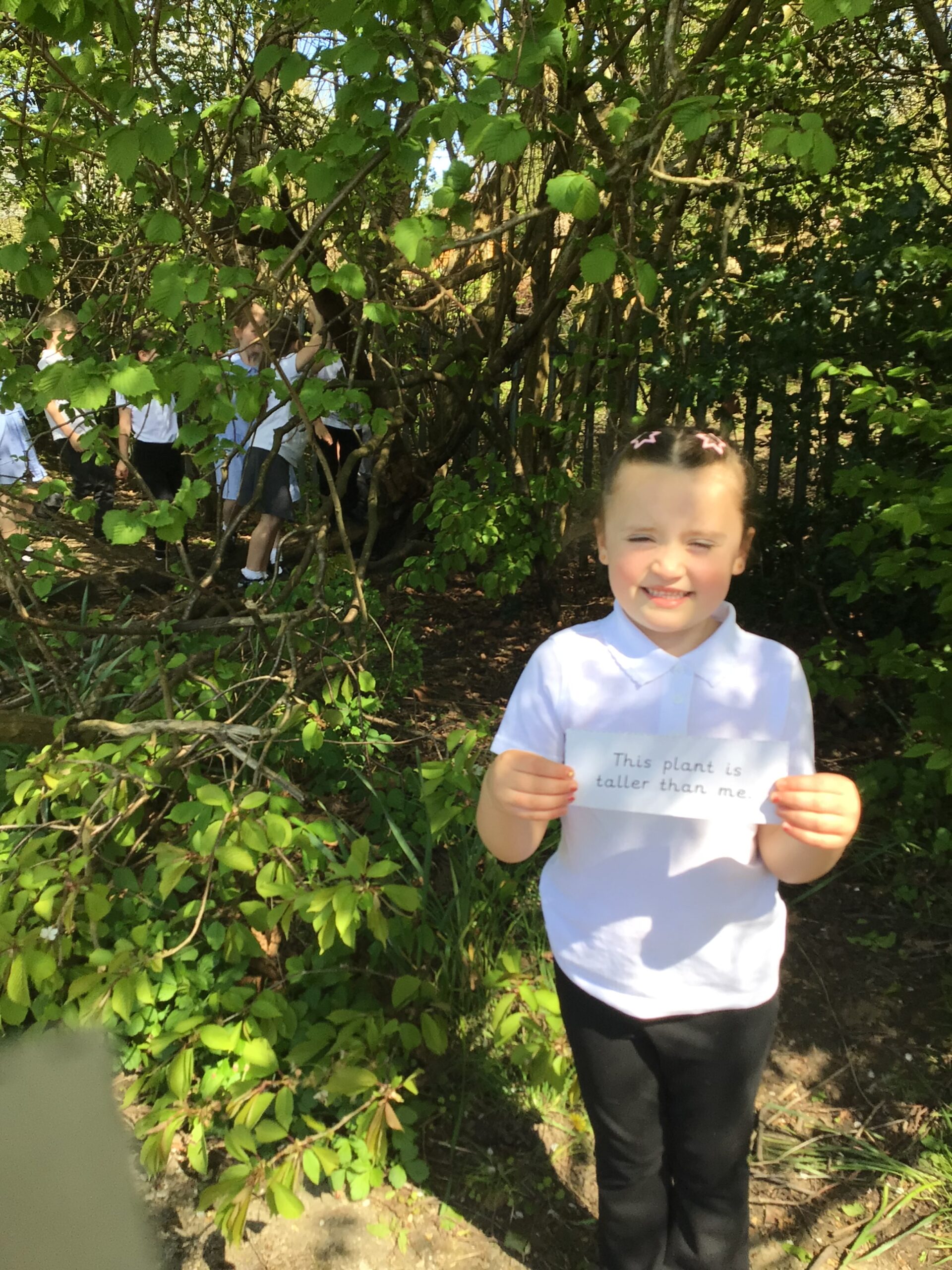 St Luke's Blog Pages