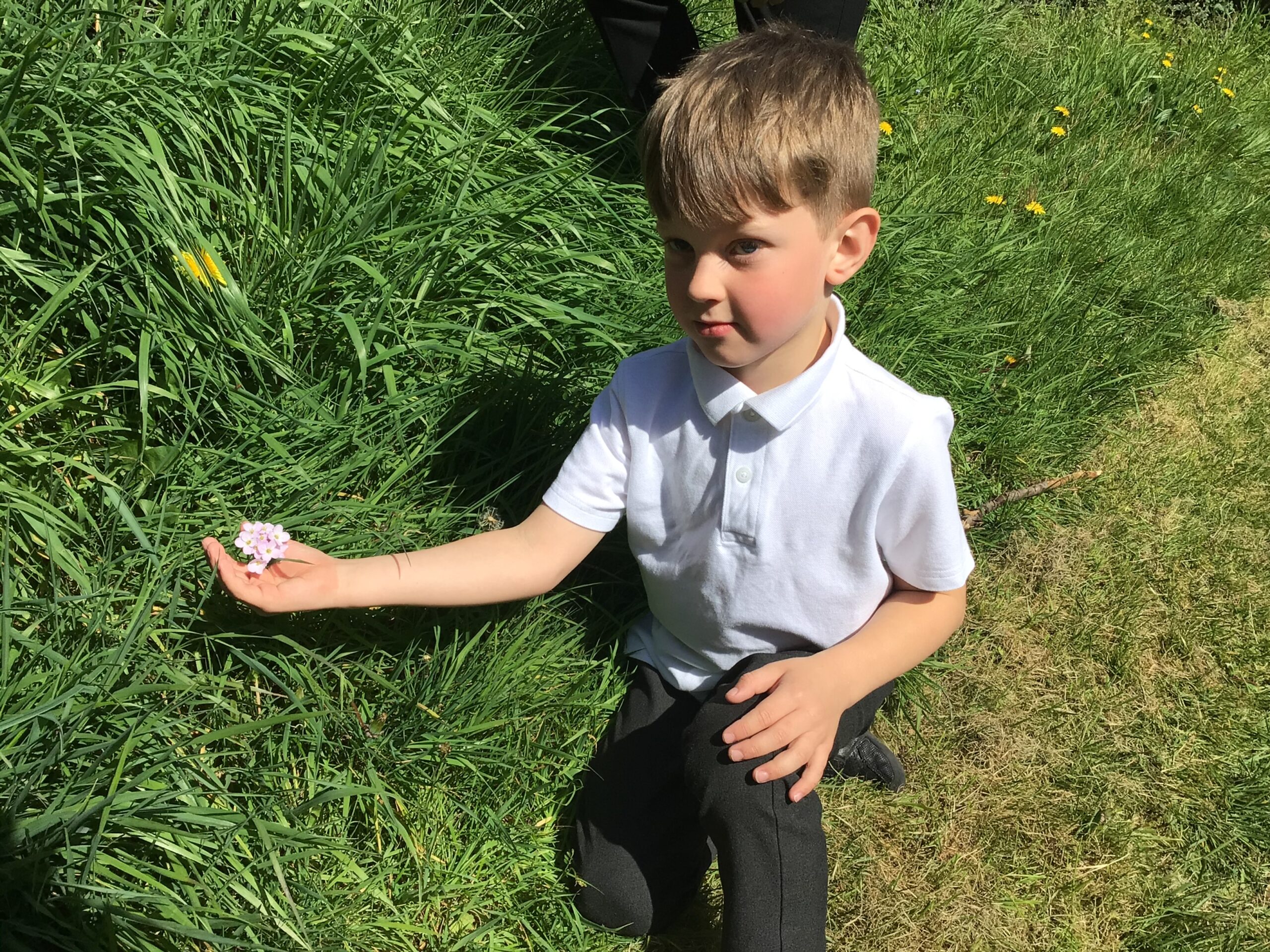 St Luke's Blog Pages