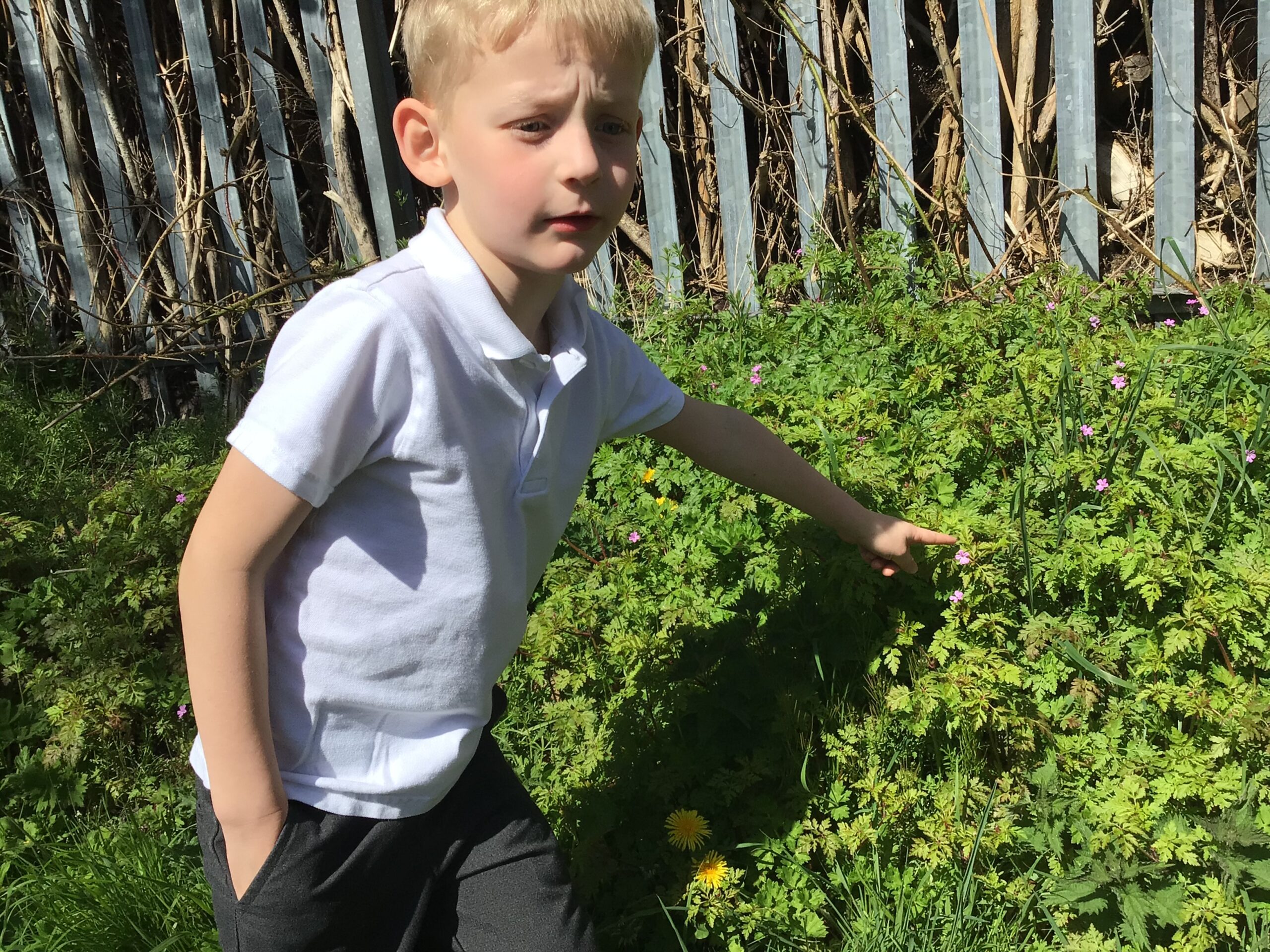 St Luke's Blog Pages