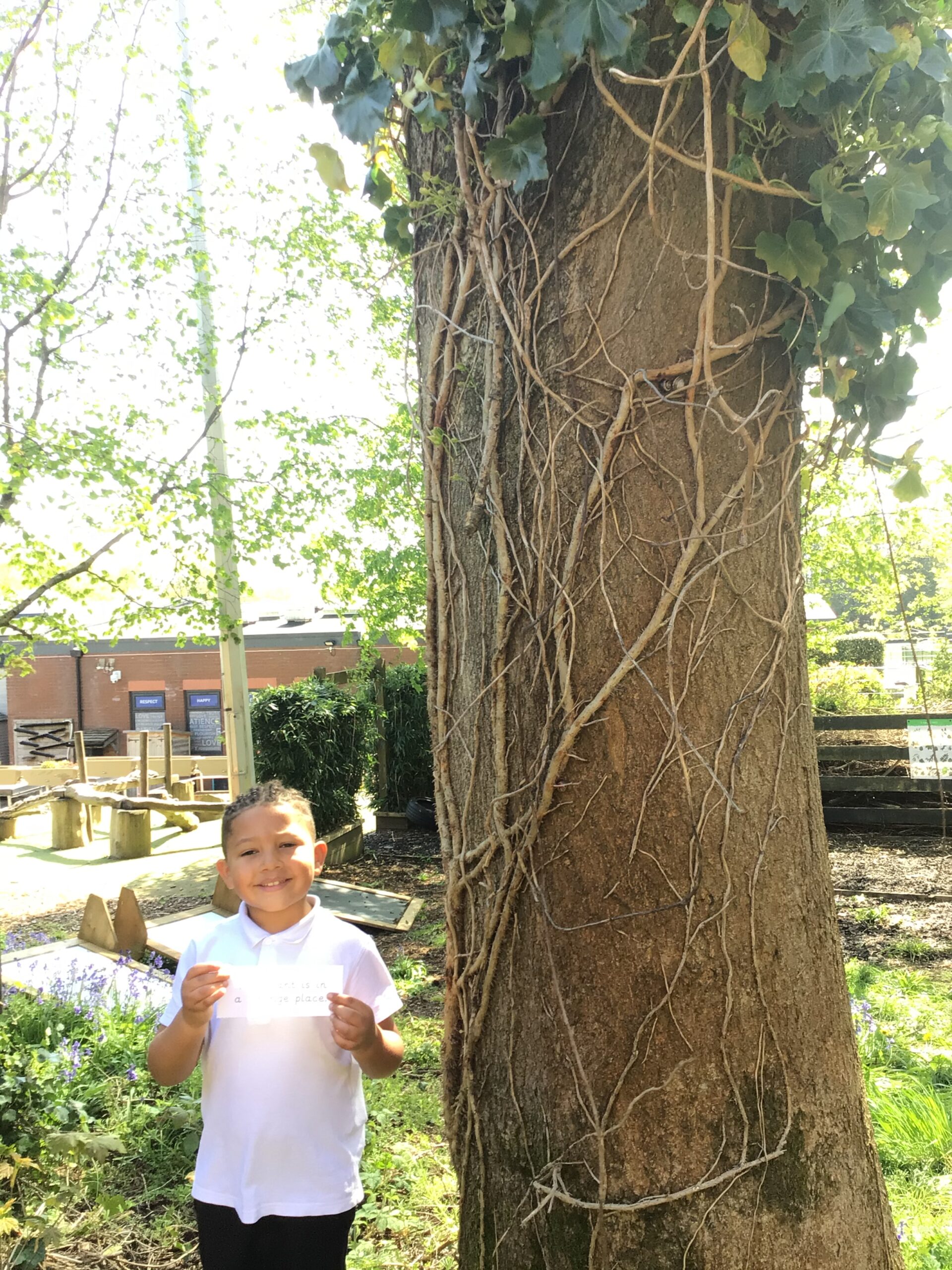 St Luke's Blog Pages