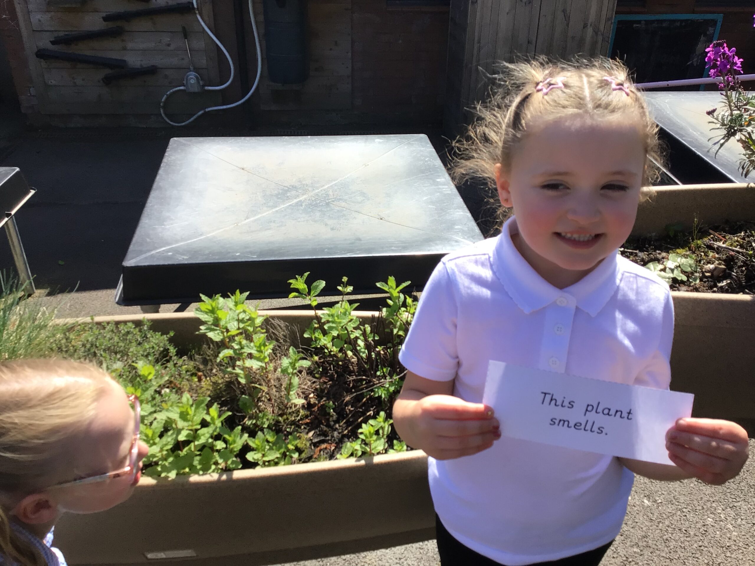 St Luke's Blog Pages