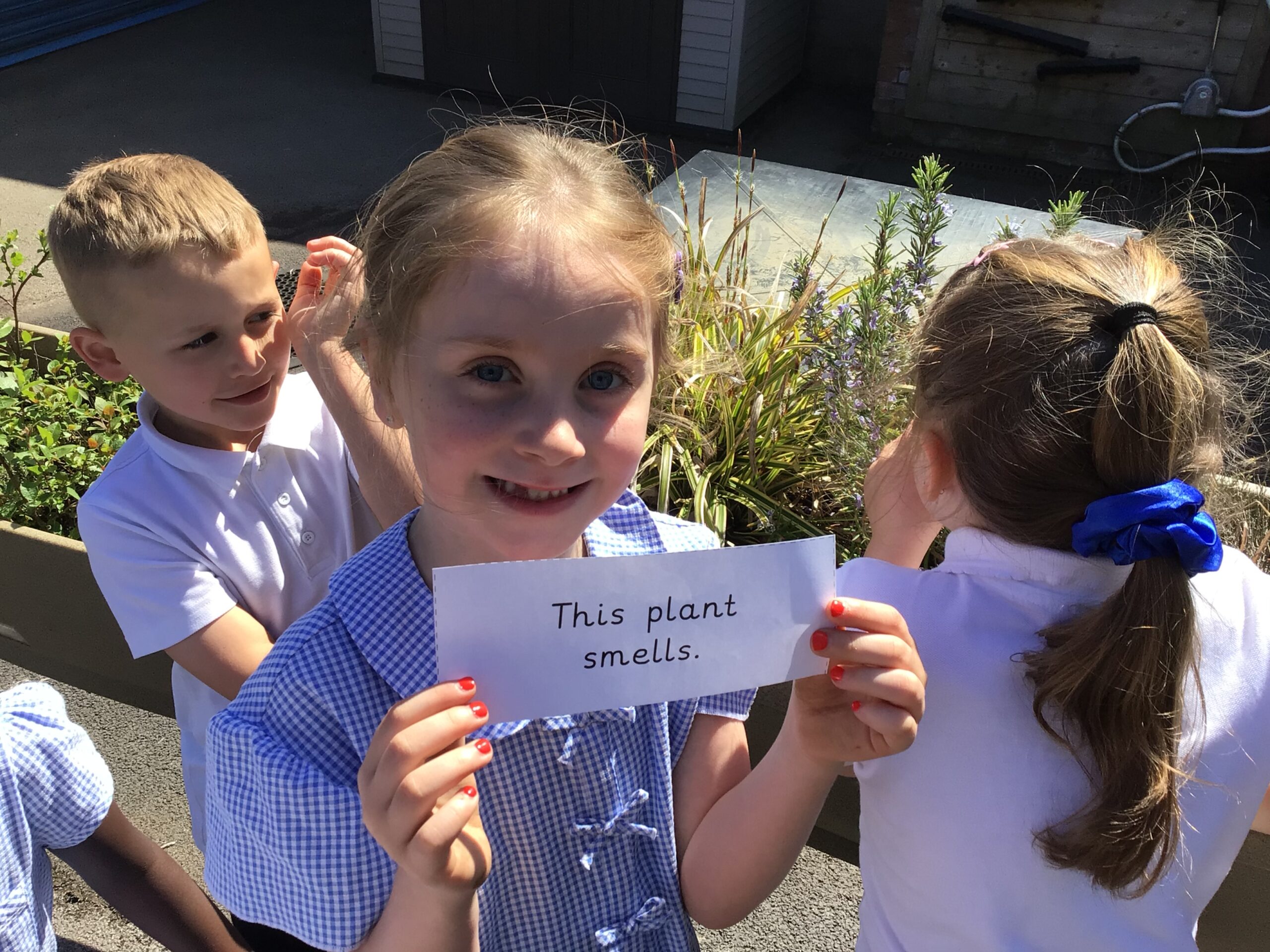 St Luke's Blog Pages