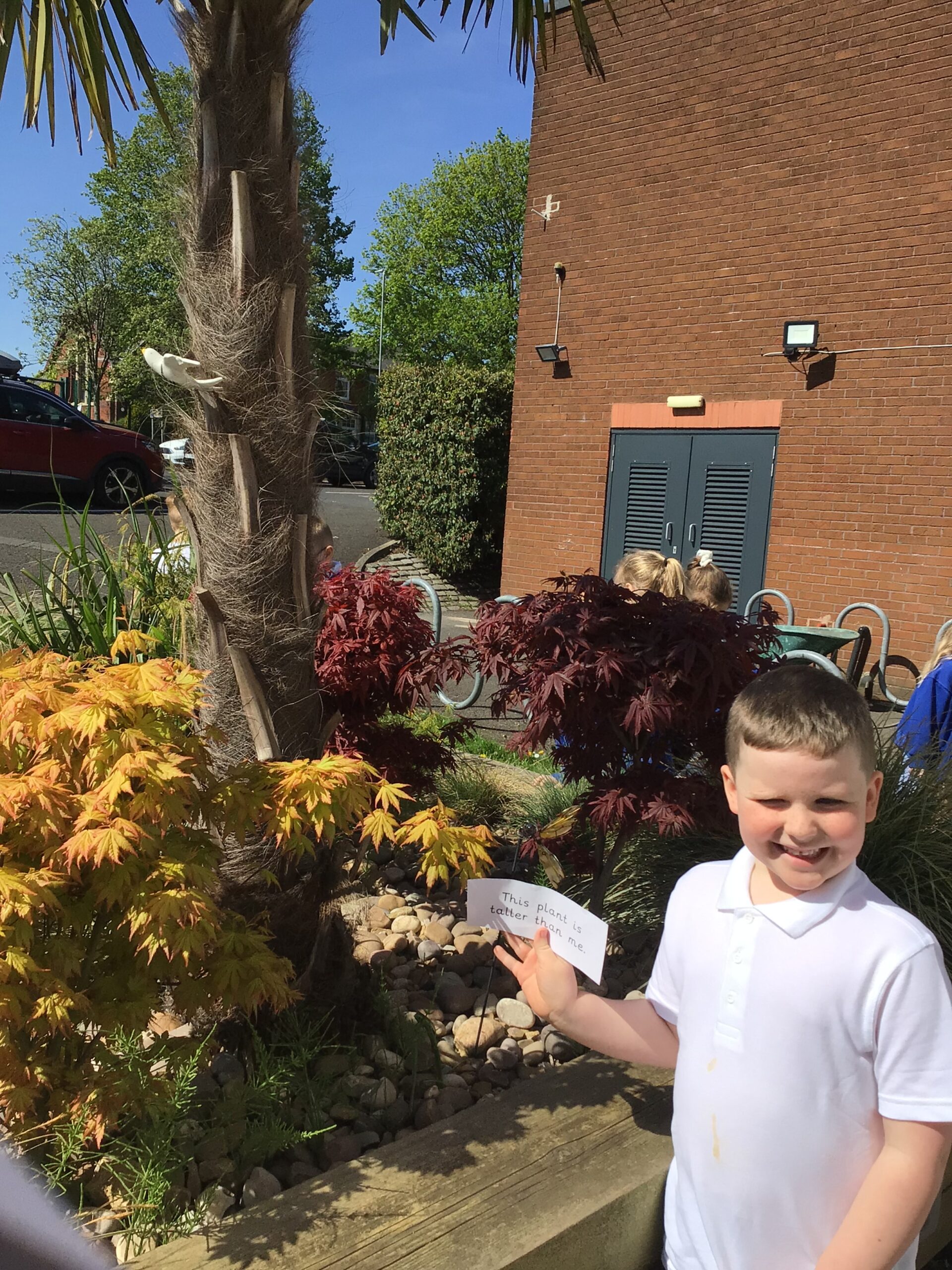 St Luke's Blog Pages