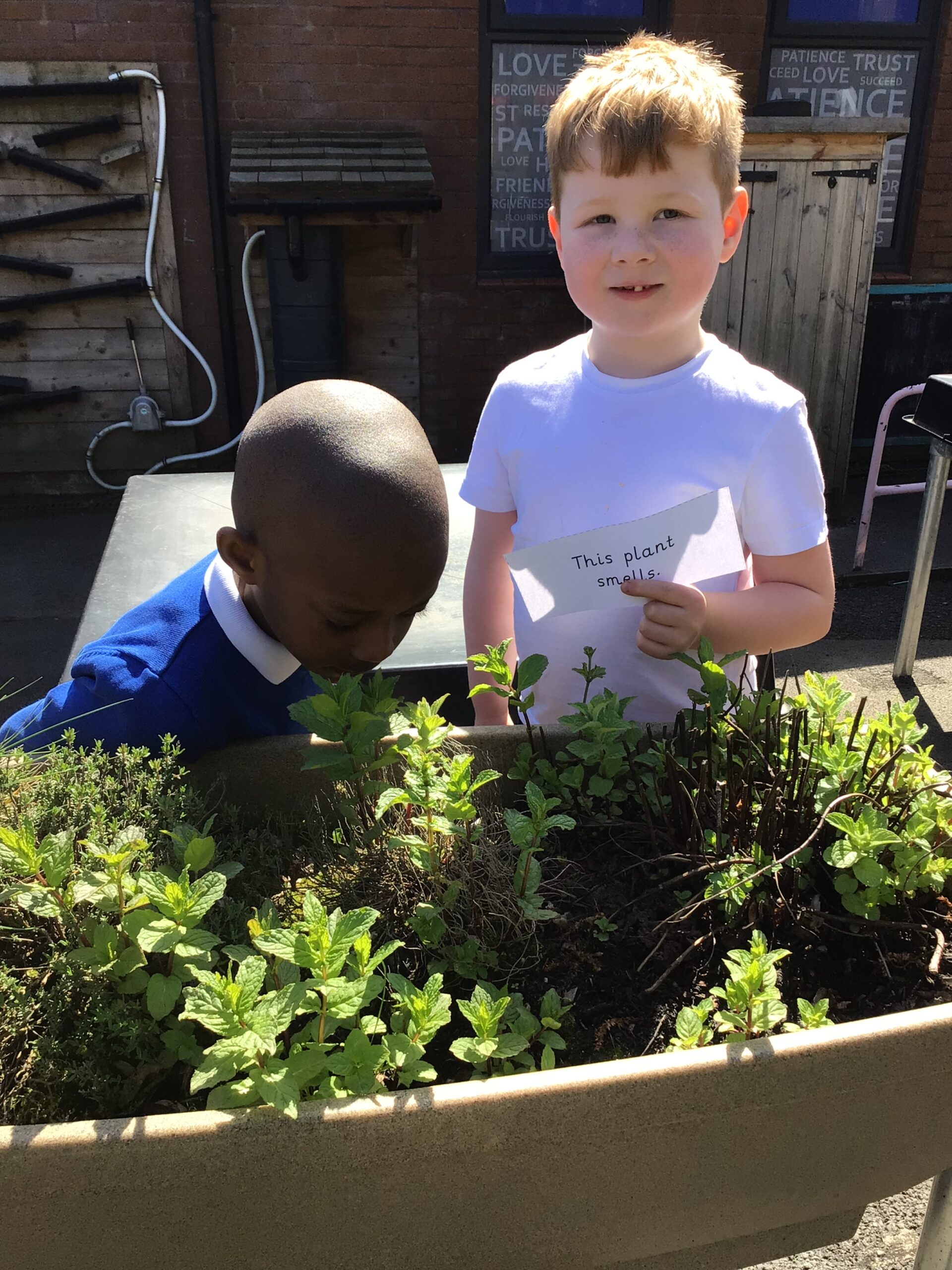 St Luke's Blog Pages