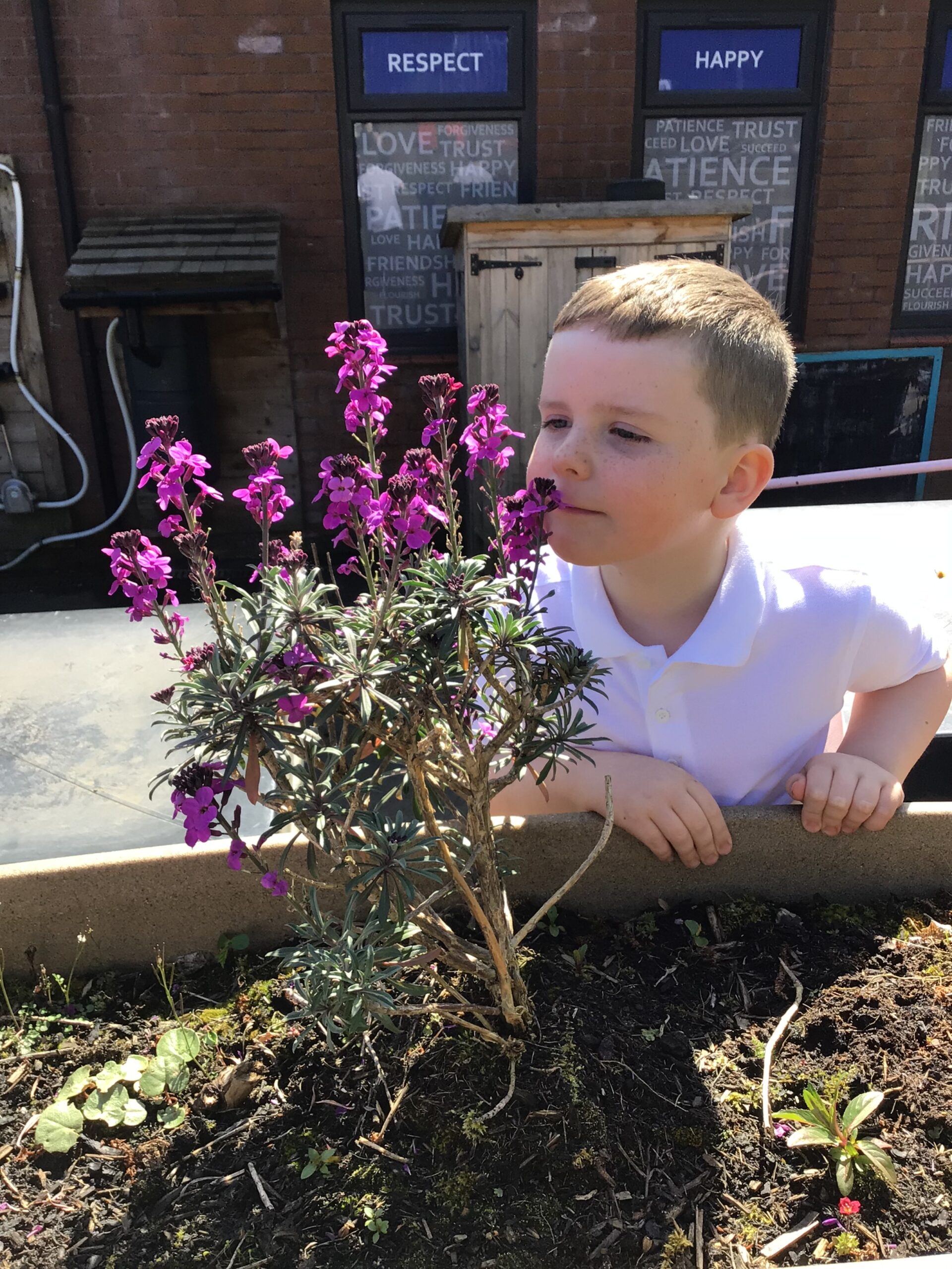 St Luke's Blog Pages