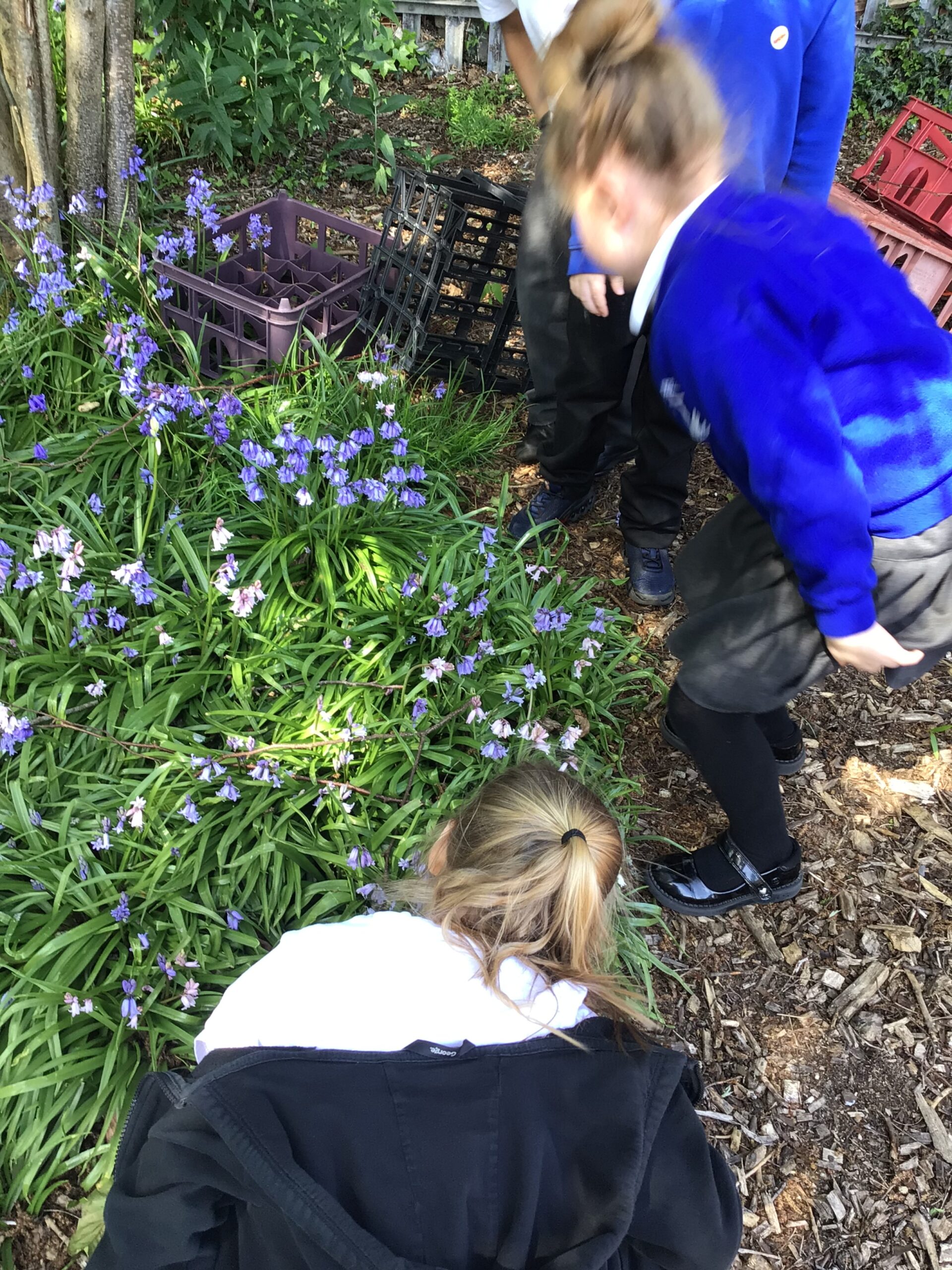 St Luke's Blog Pages