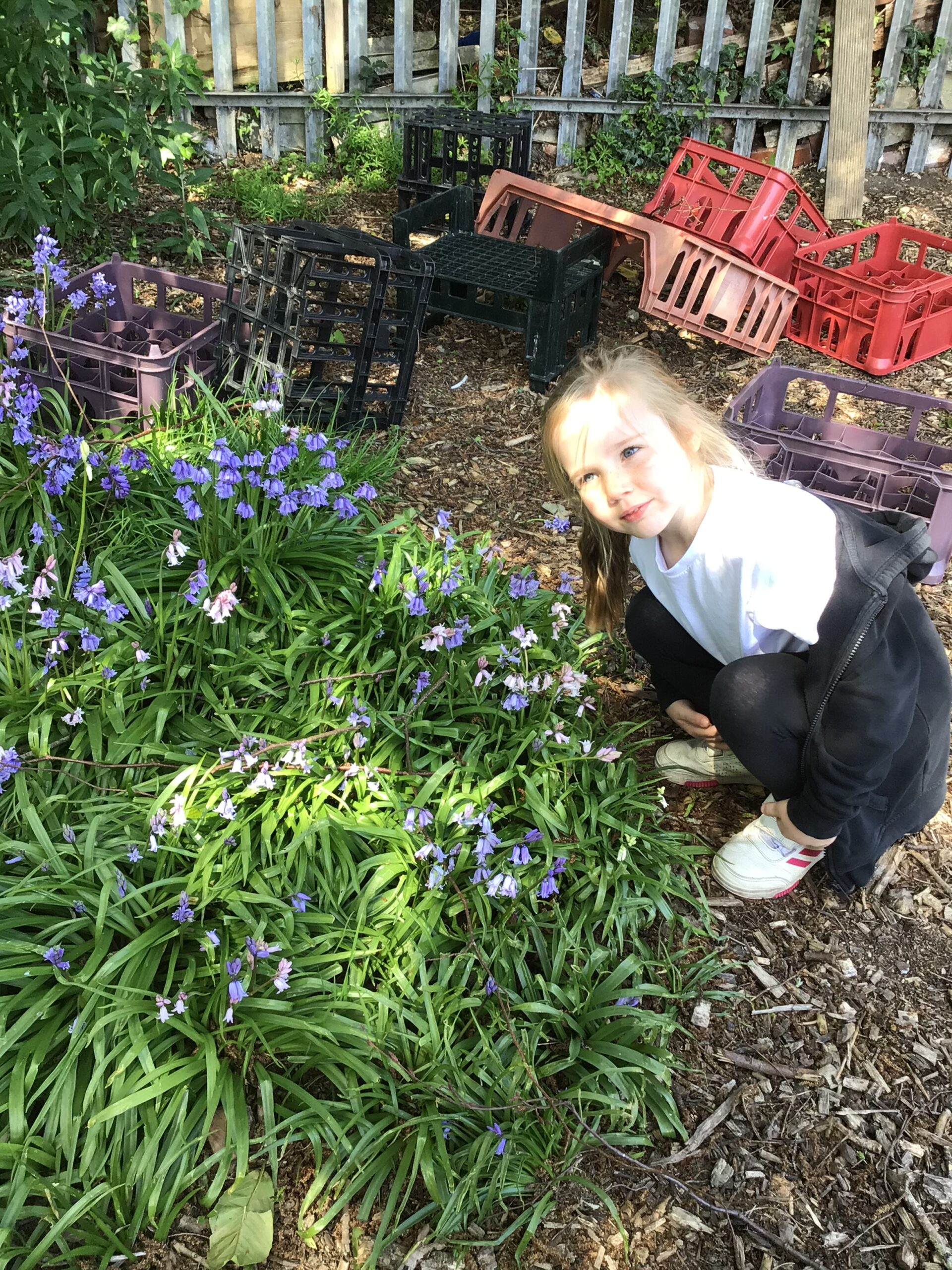 St Luke's Blog Pages