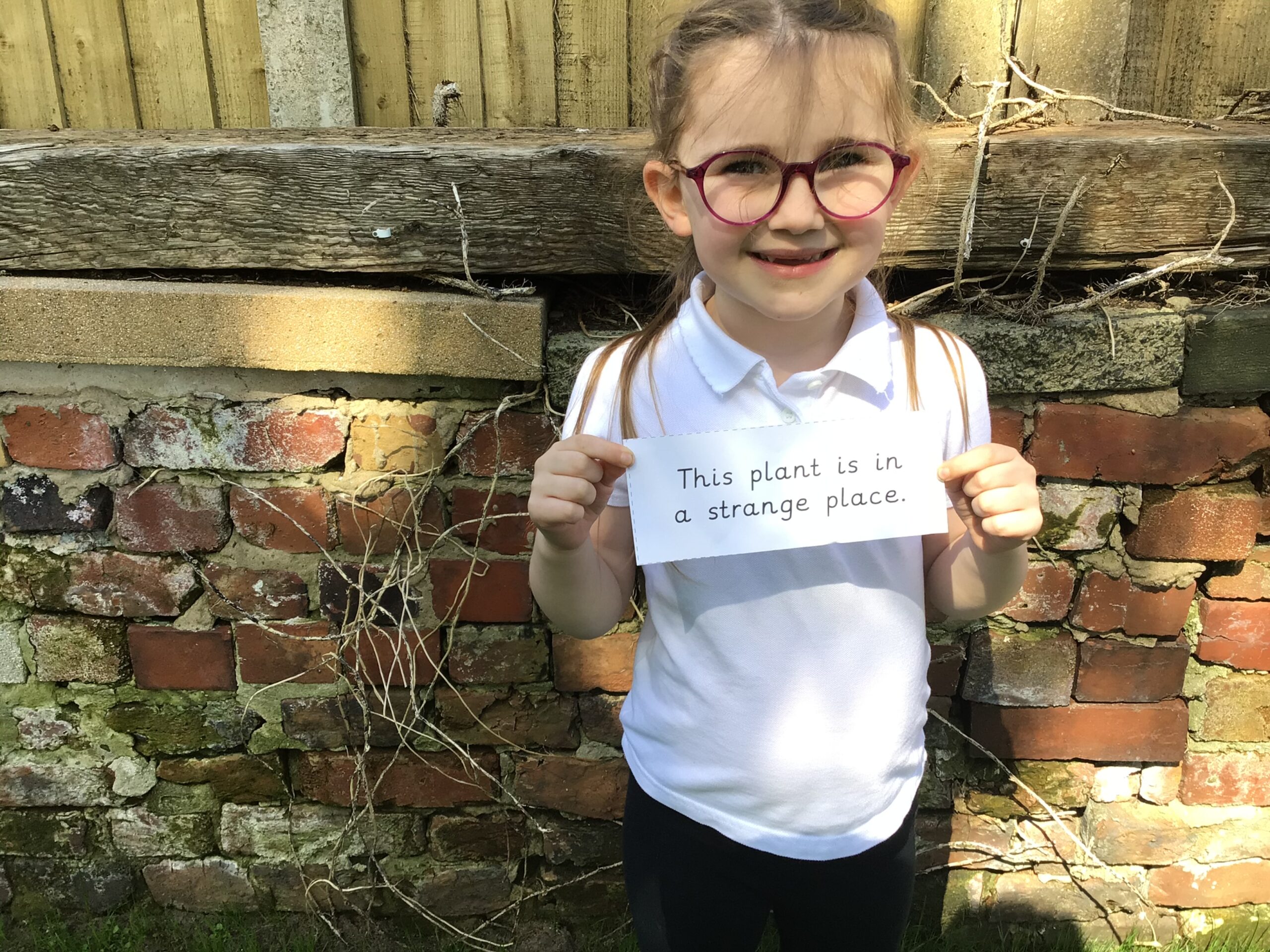 St Luke's Blog Pages