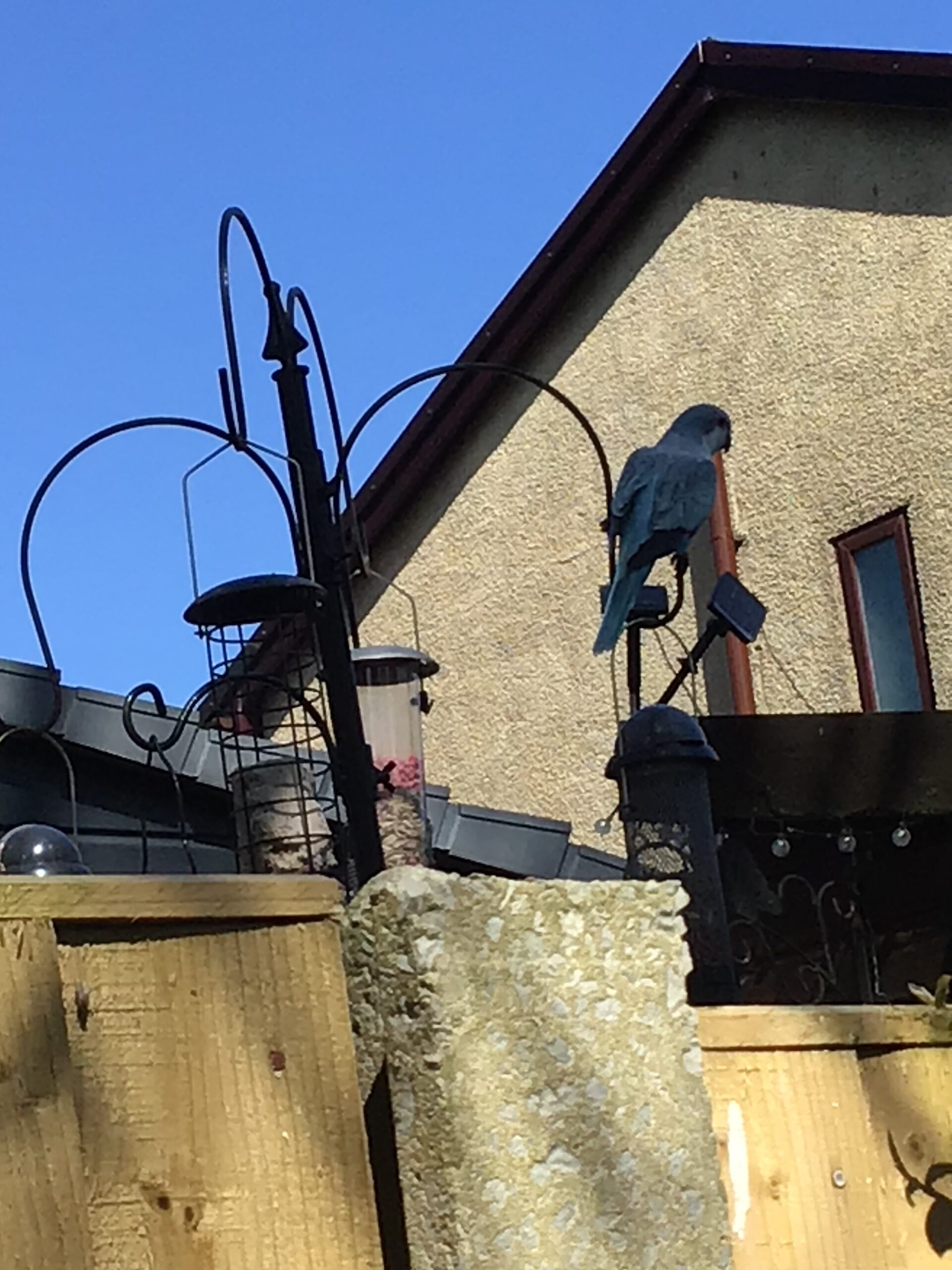 St Luke's Blog Pages