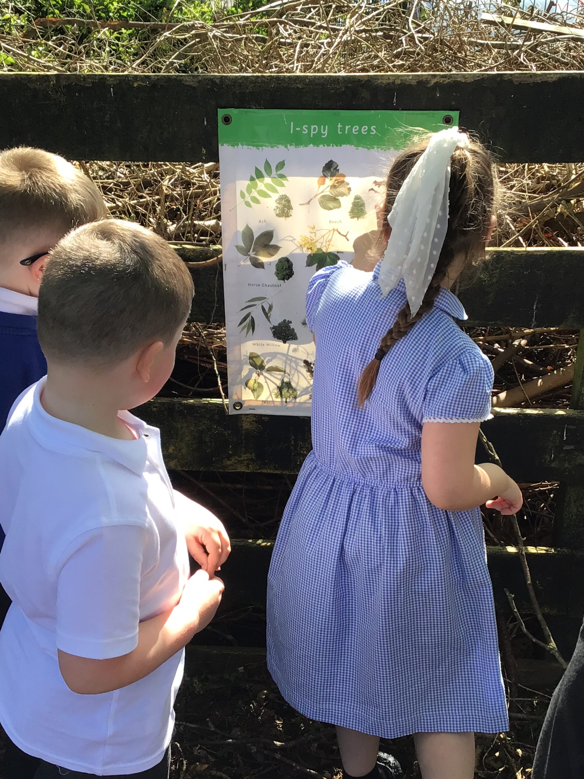 St Luke's Blog Pages