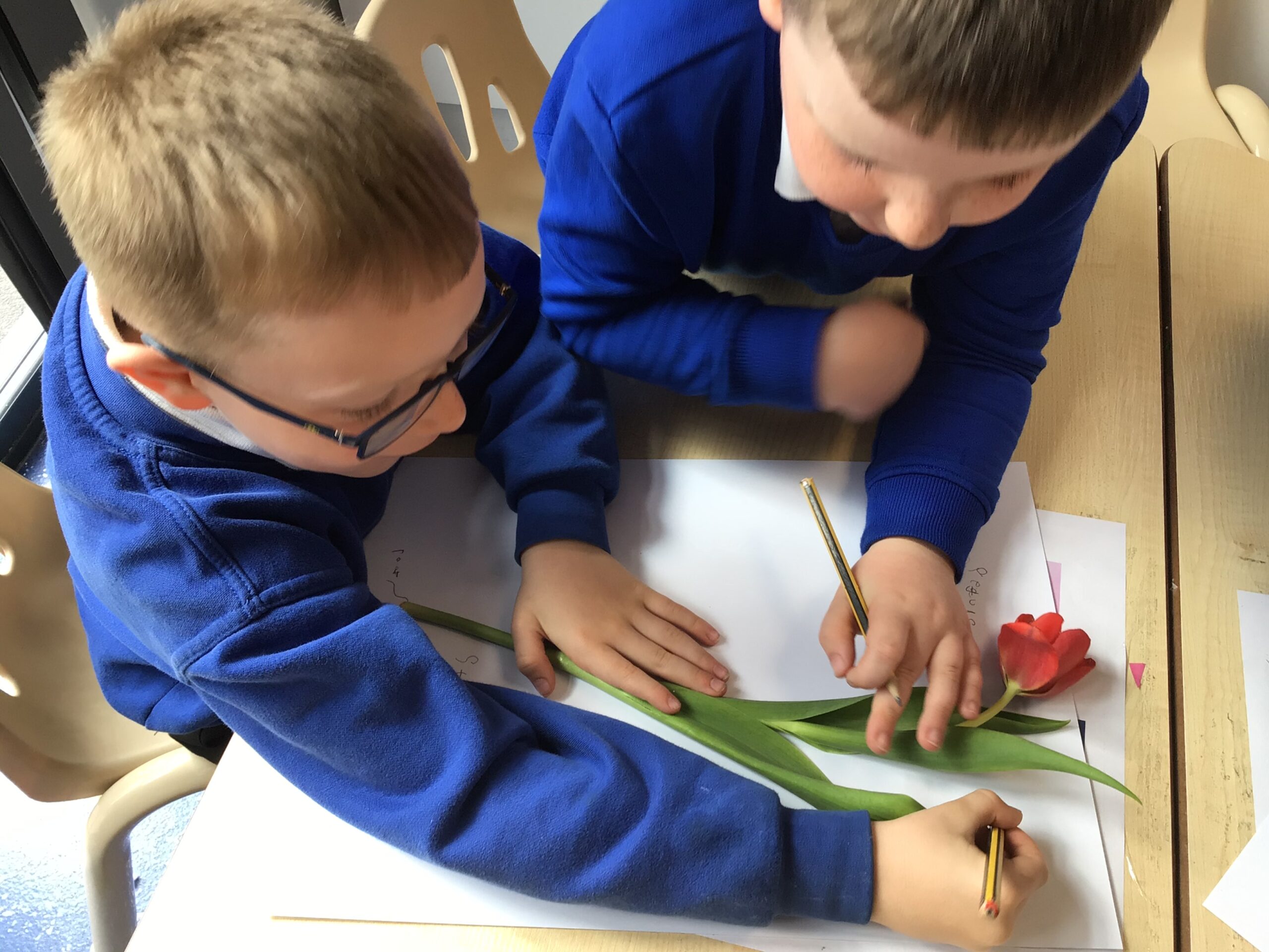 St Luke's Blog Pages