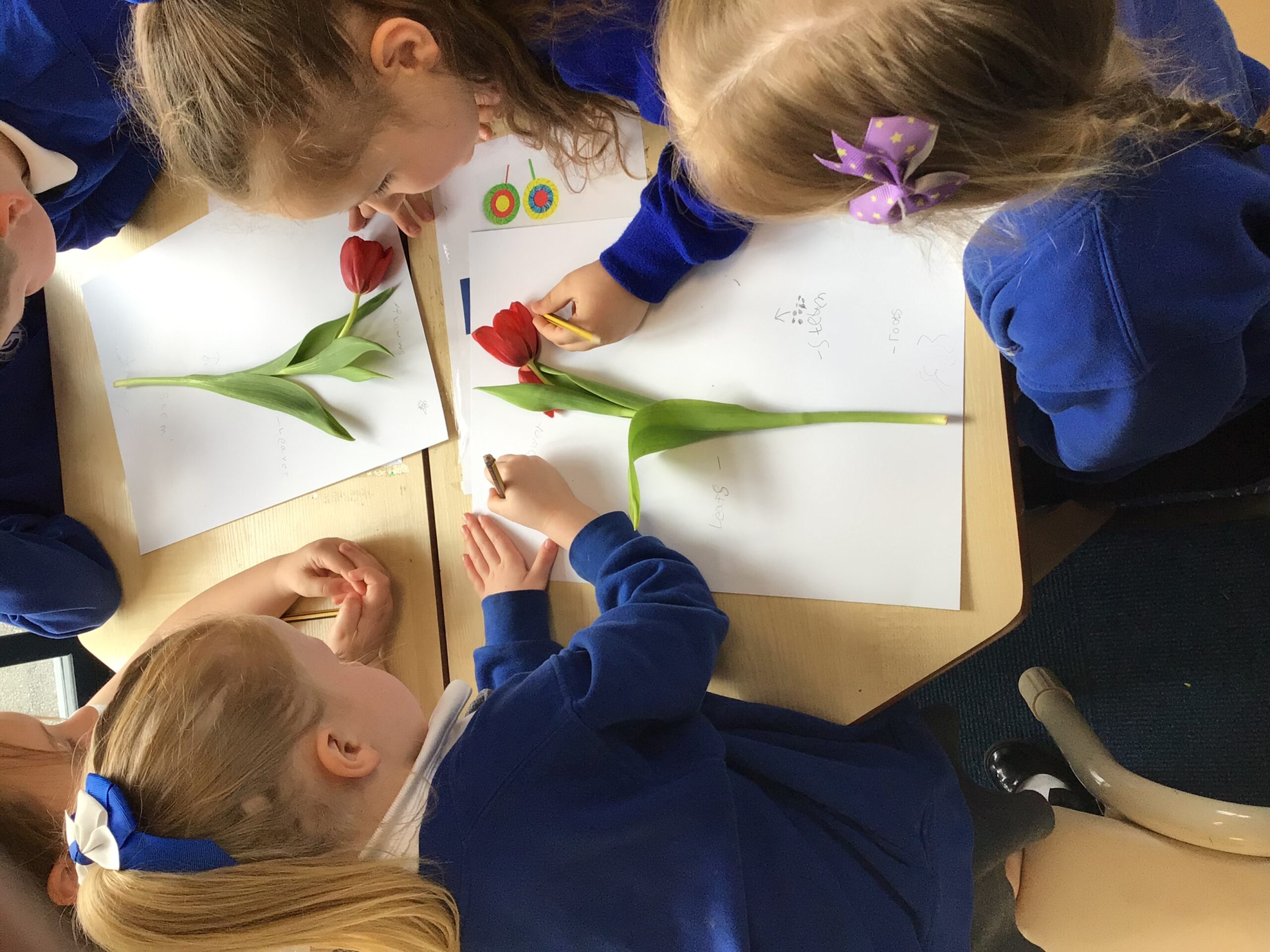 St Luke's Blog Pages