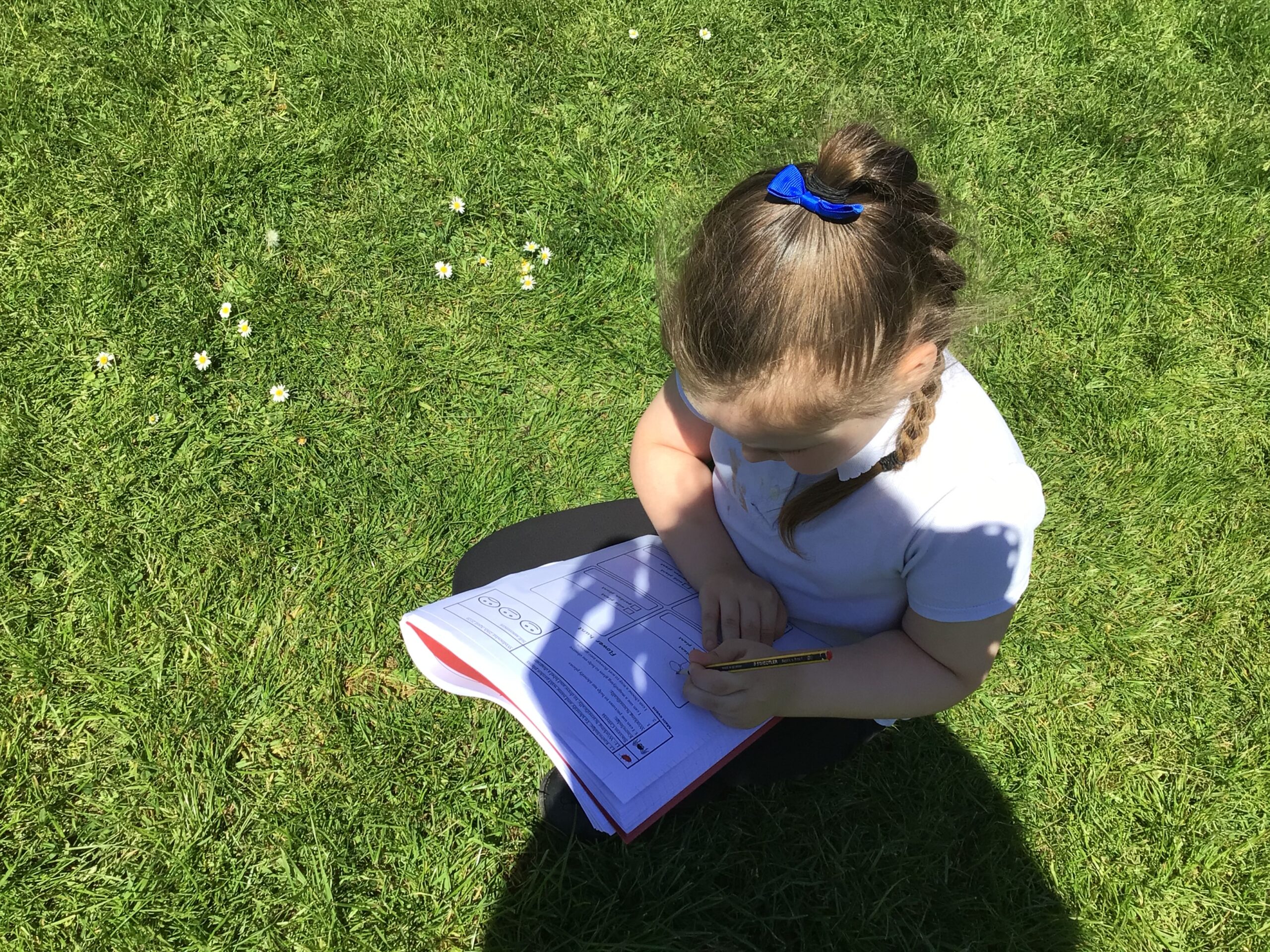 St Luke's Blog Pages