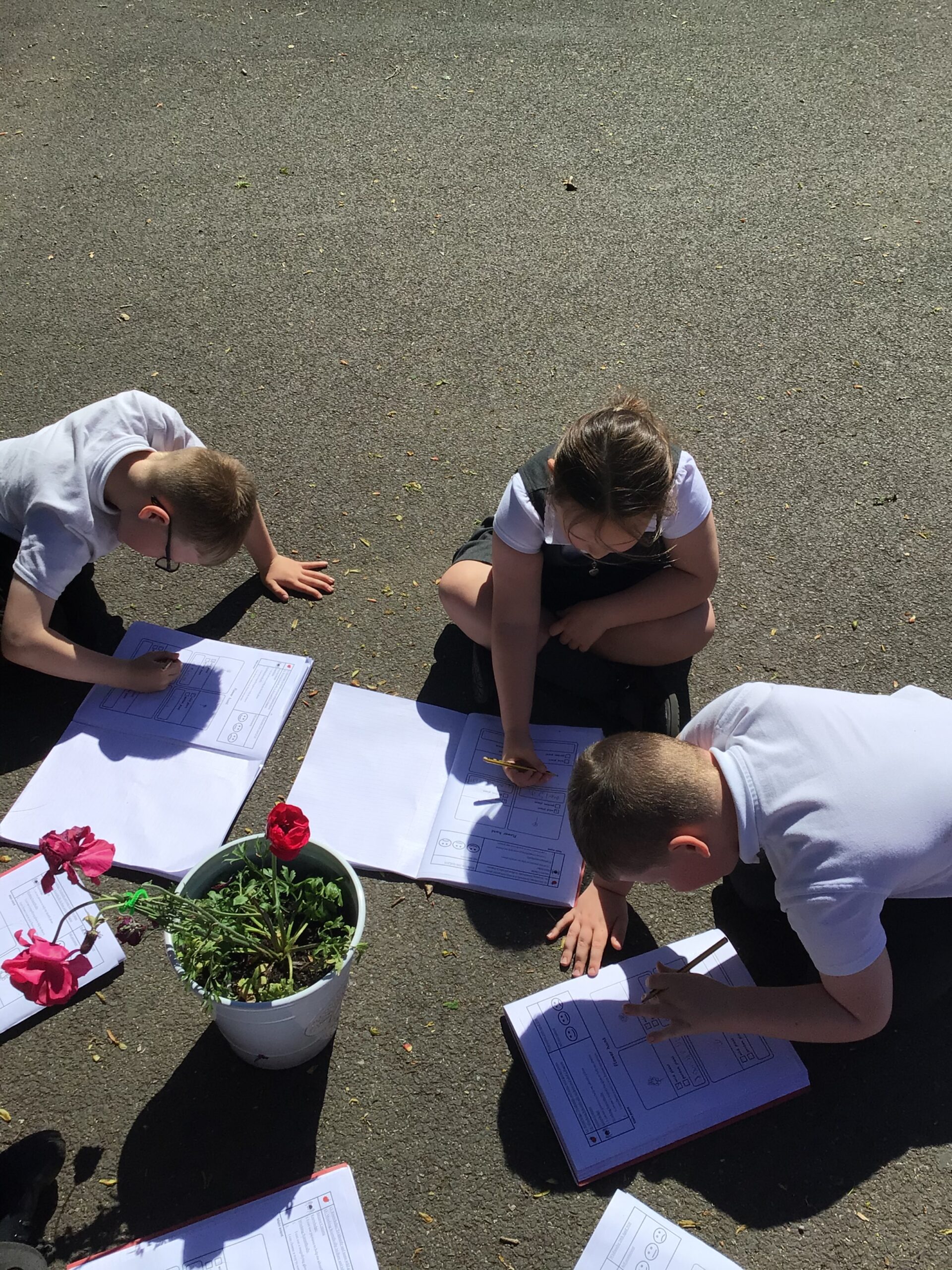 St Luke's Blog Pages