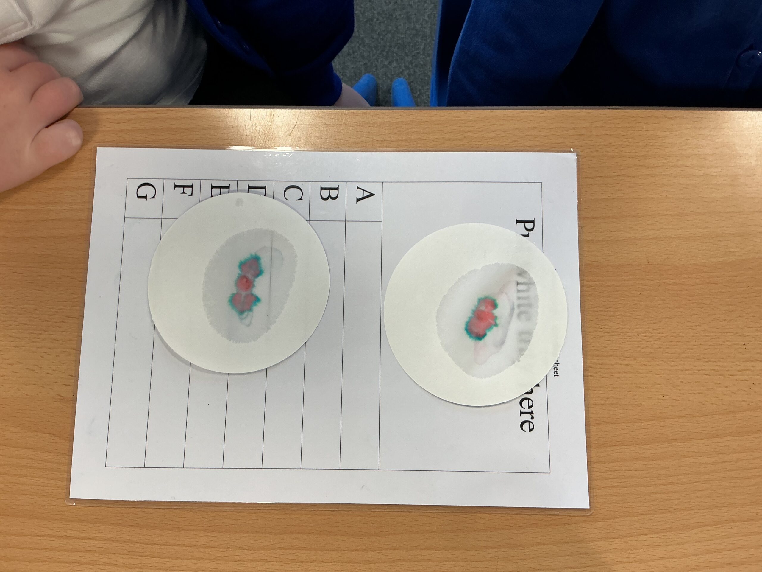 St Luke's Blog Pages