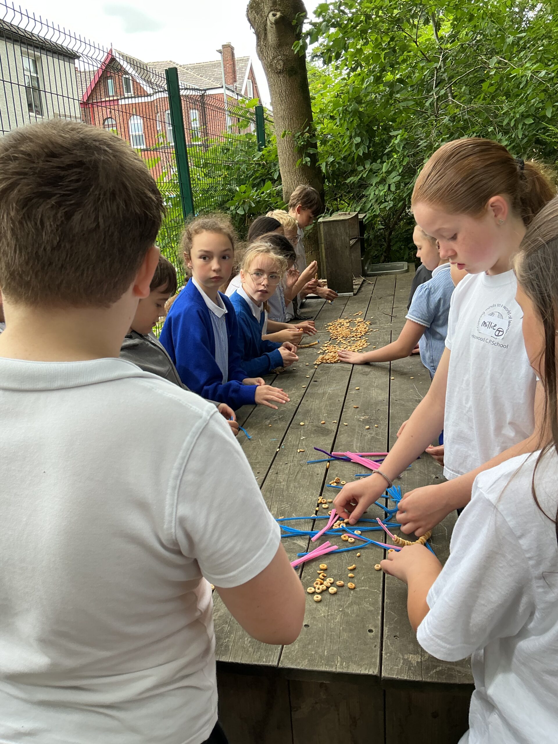 St Luke's Blog Pages