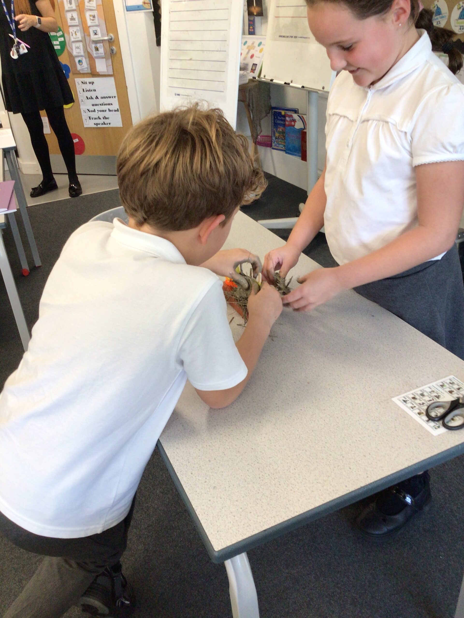 St Luke's Blog Pages