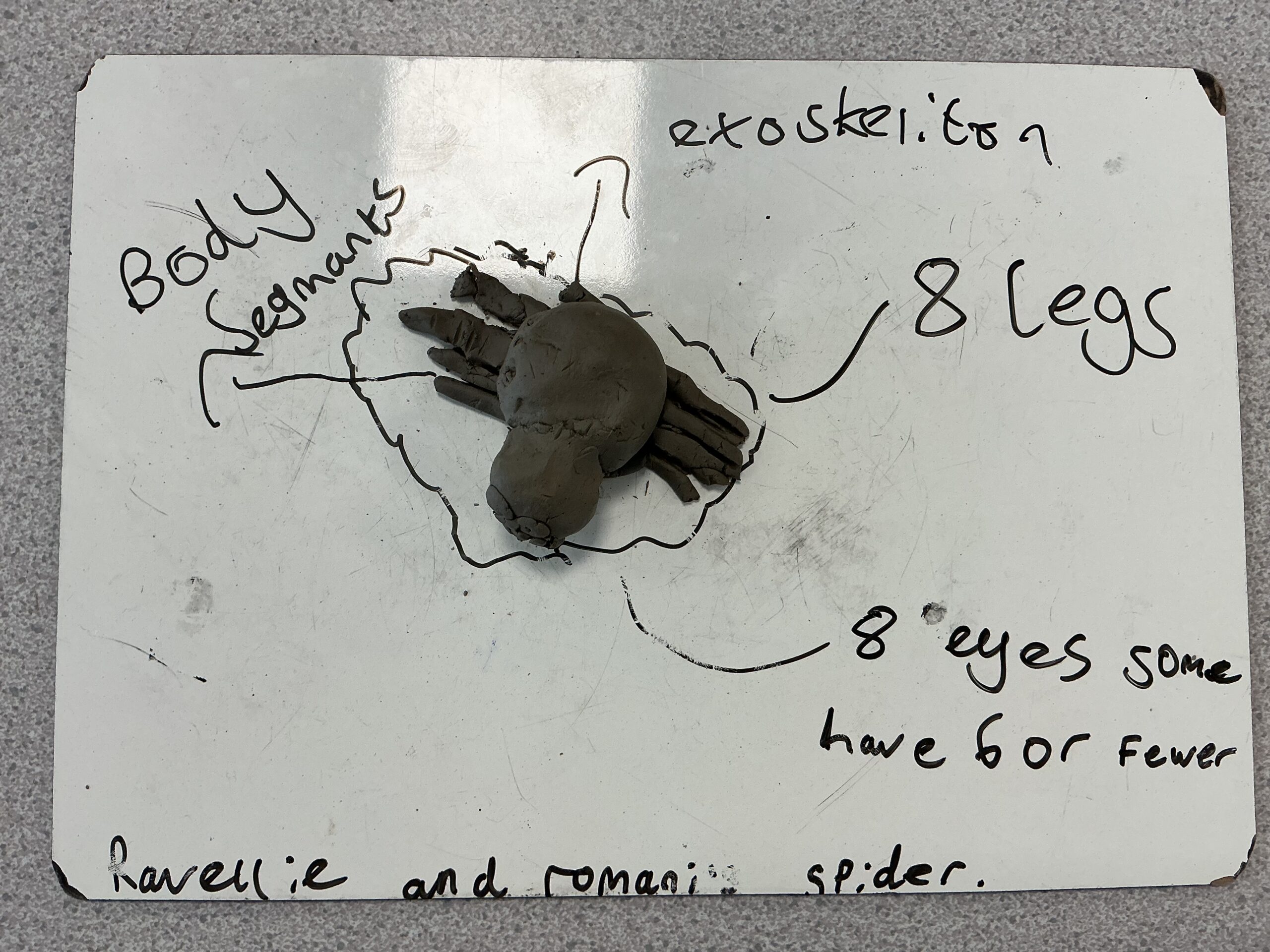 St Luke's Blog Pages