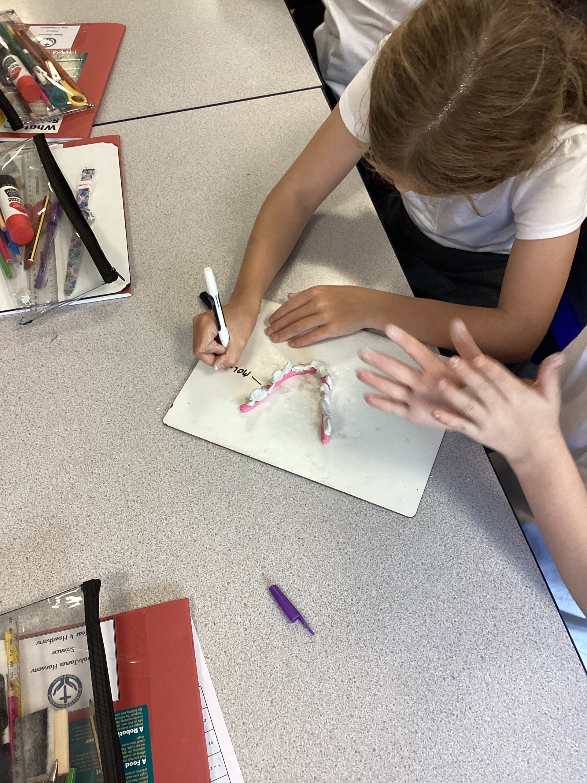 St Luke's Blog Pages