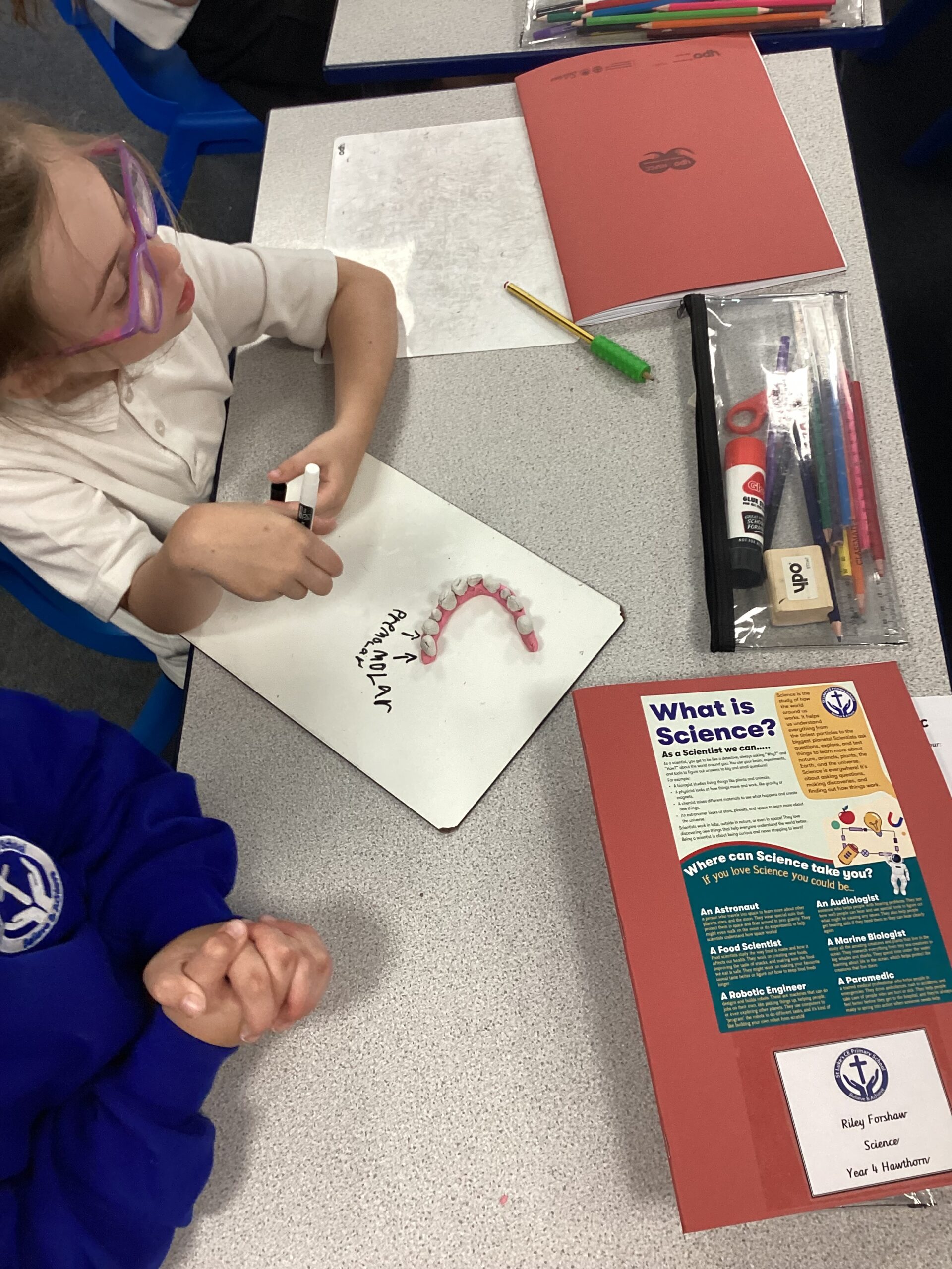 St Luke's Blog Pages