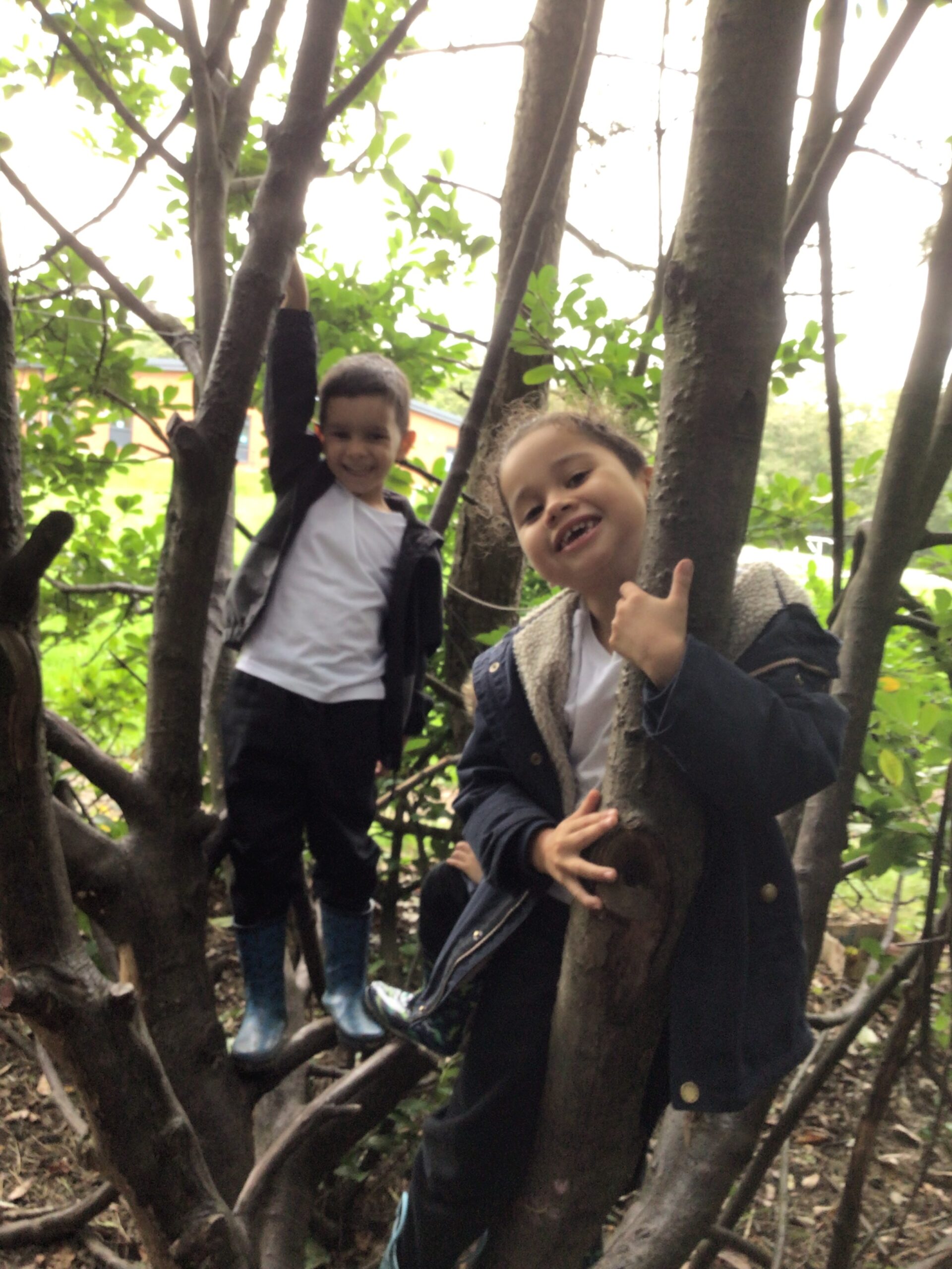 St Luke's Blog Pages