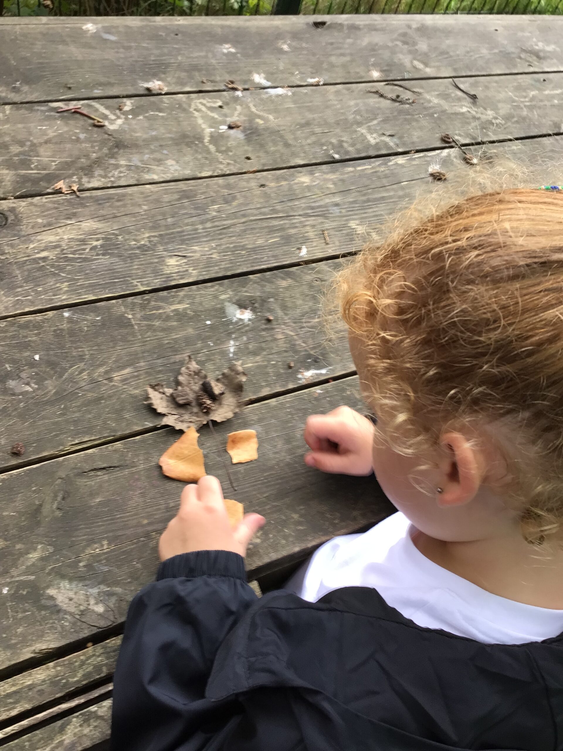 St Luke's Blog Pages
