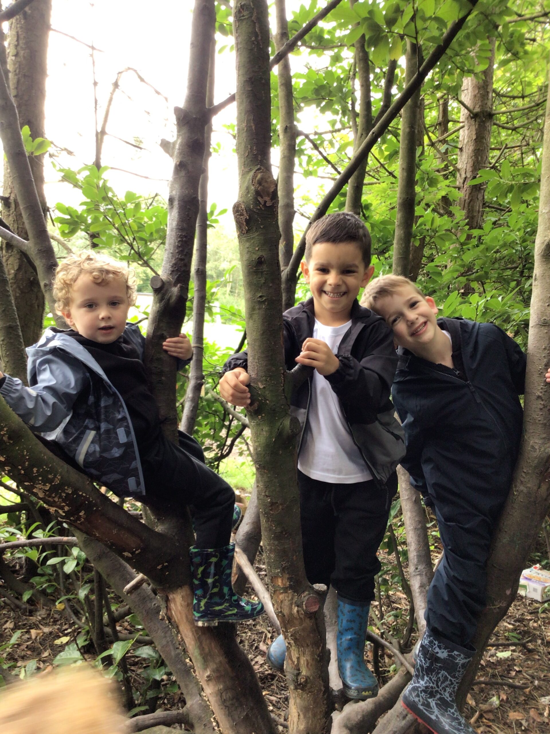 St Luke's Blog Pages
