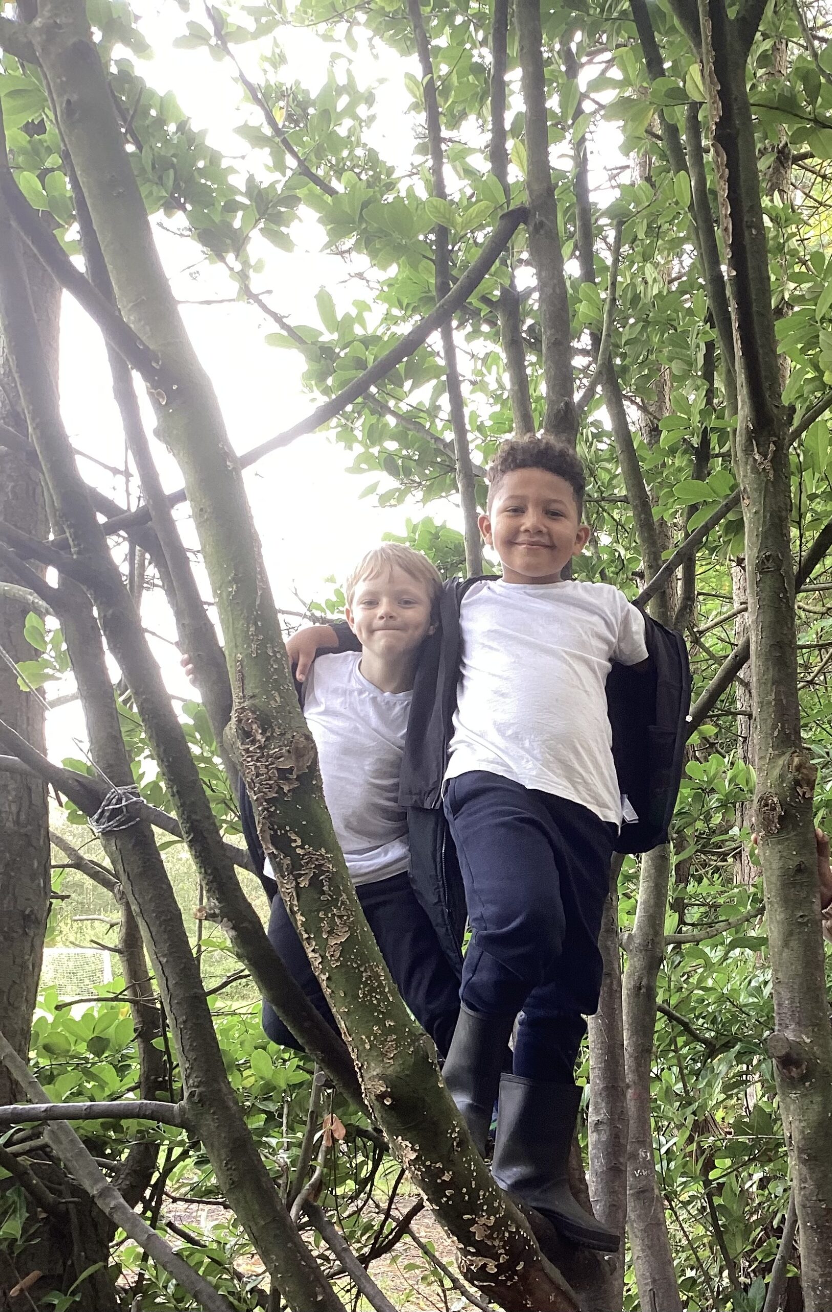 St Luke's Blog Pages