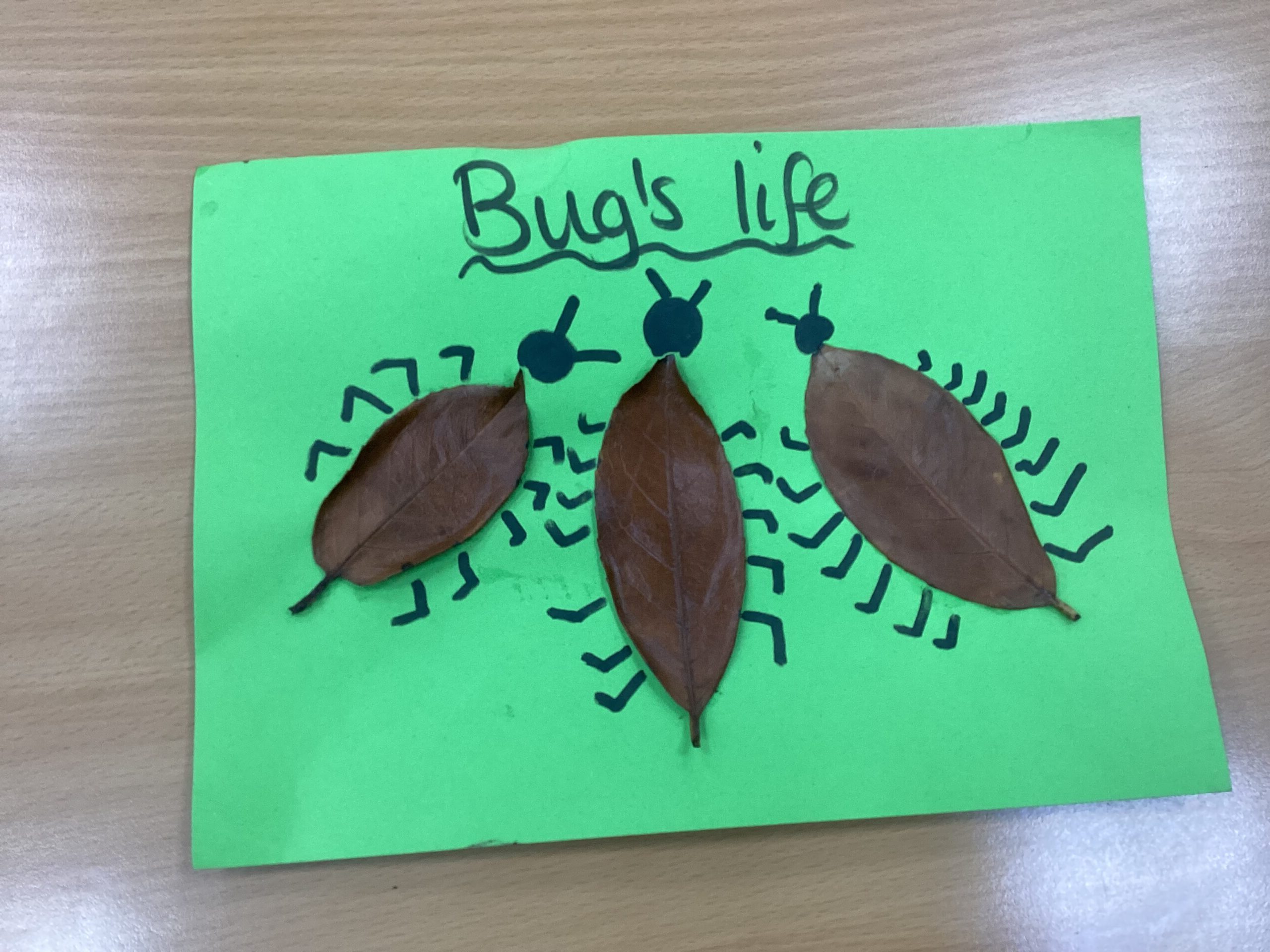 St Luke's Blog Pages